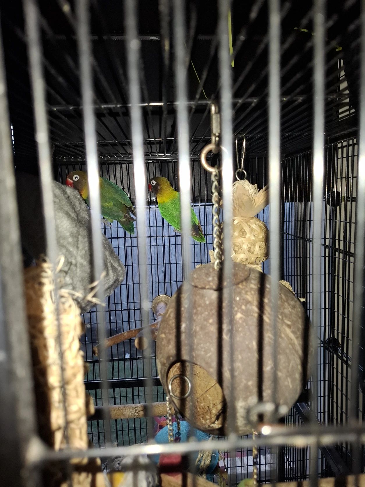 image-10