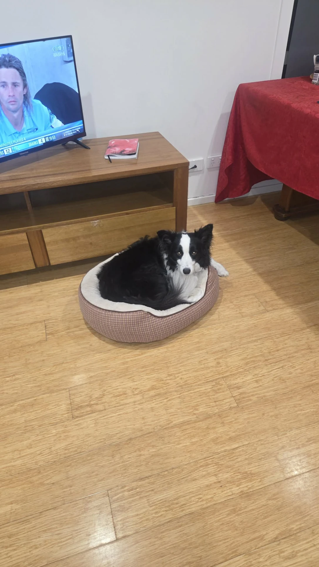 image-7