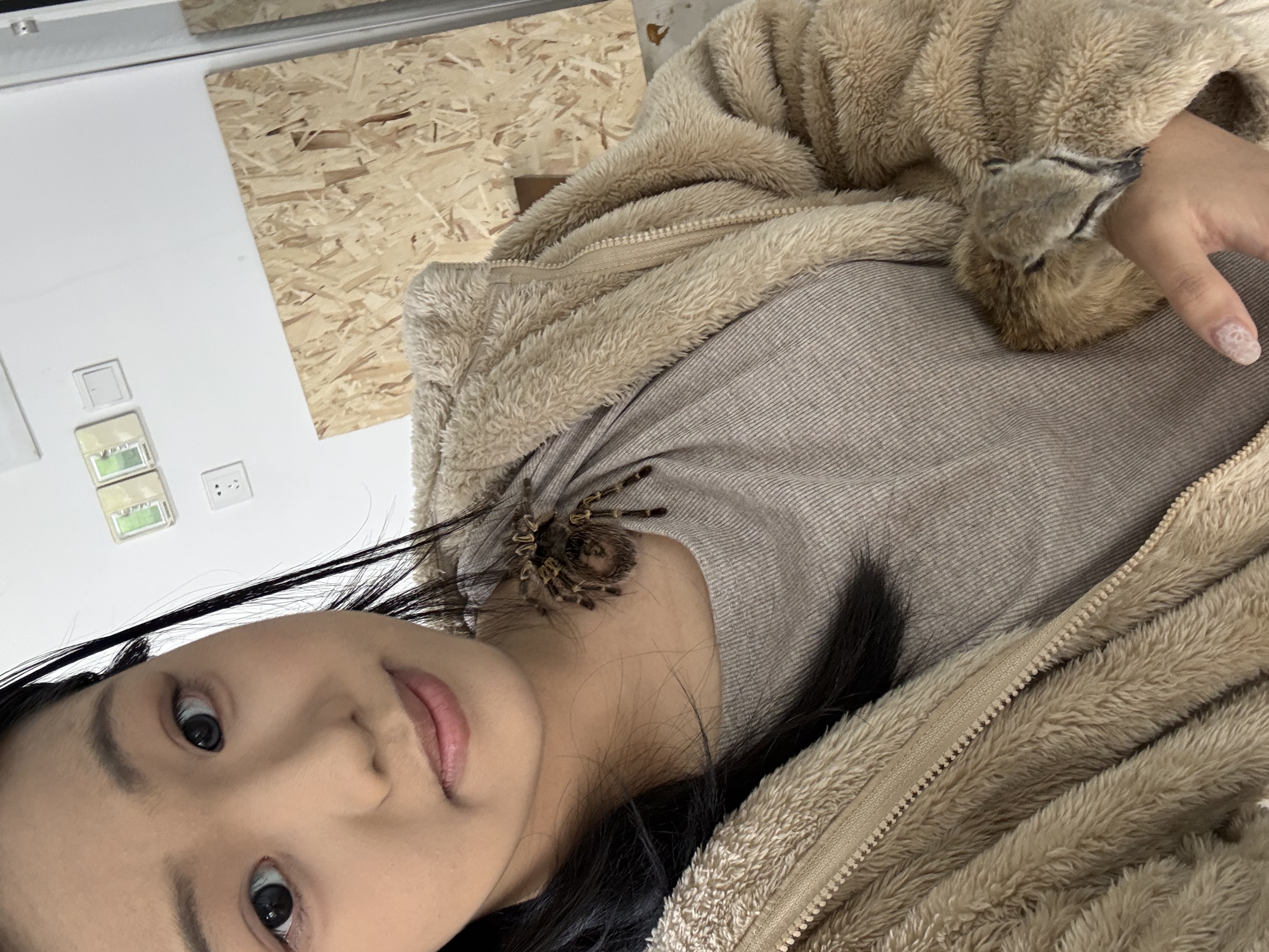 image-5
