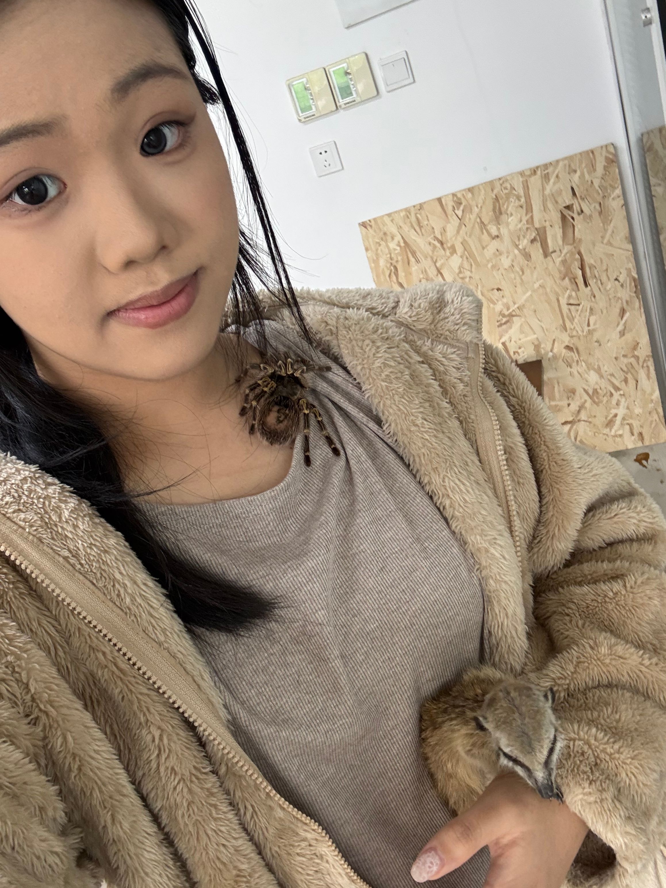 image-5