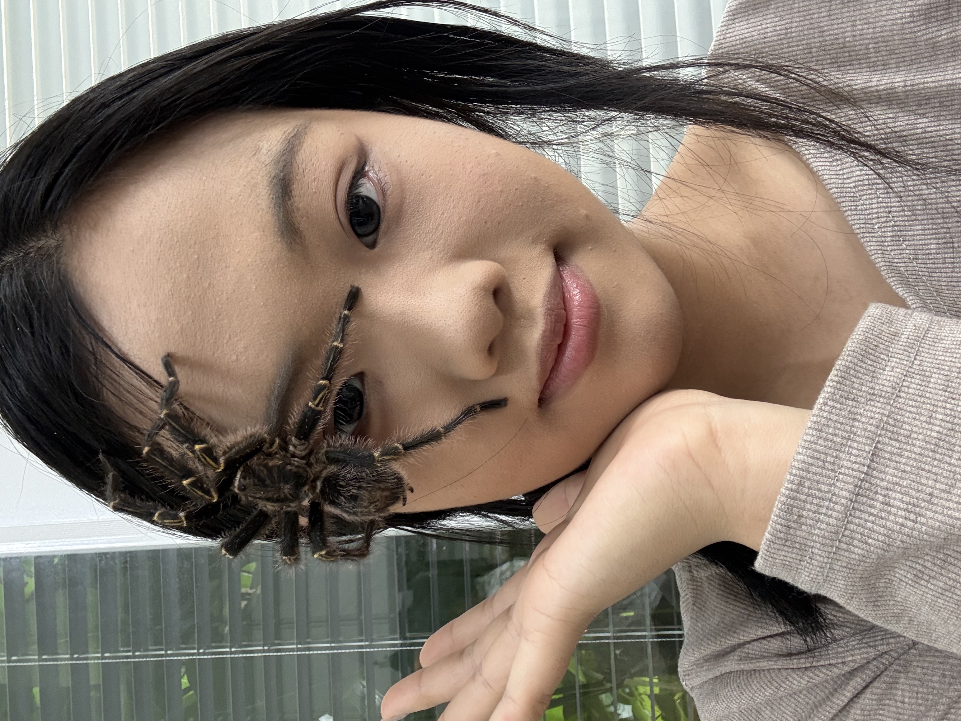 image-6