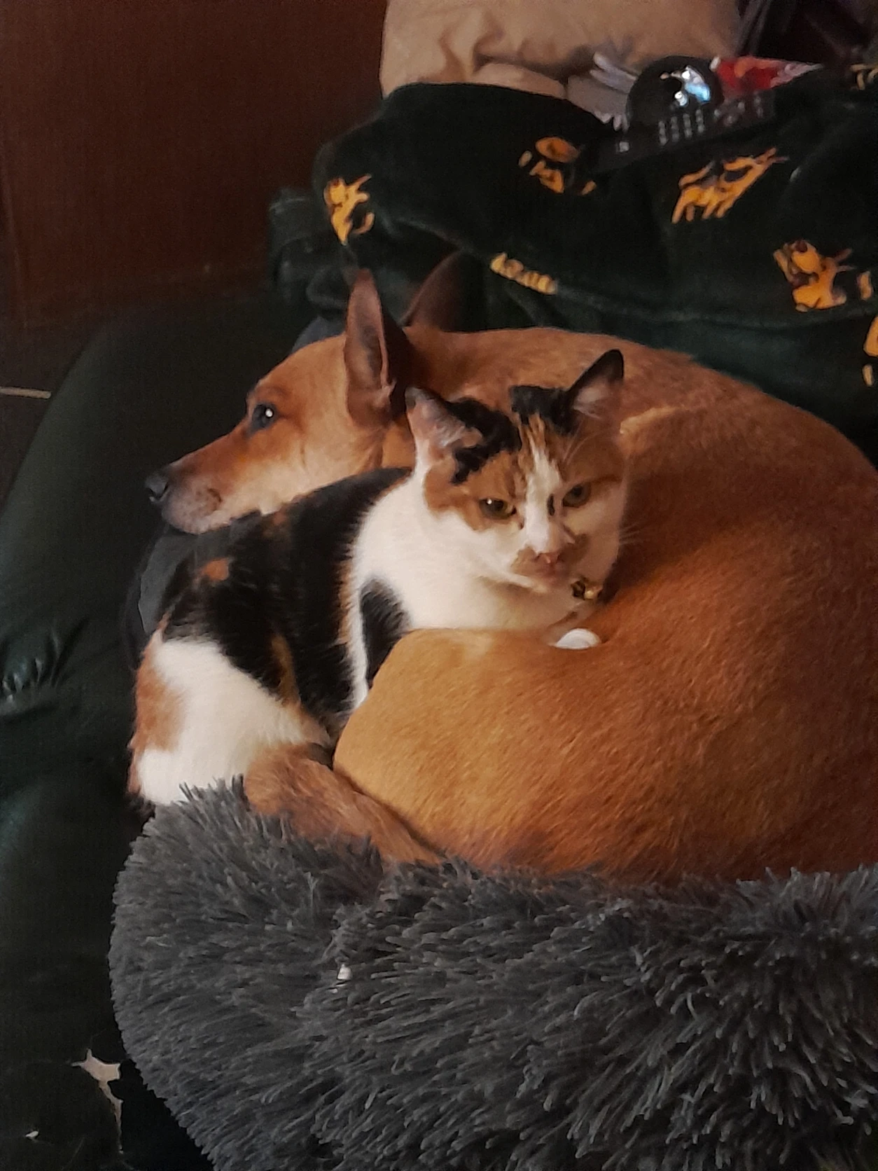 image-18