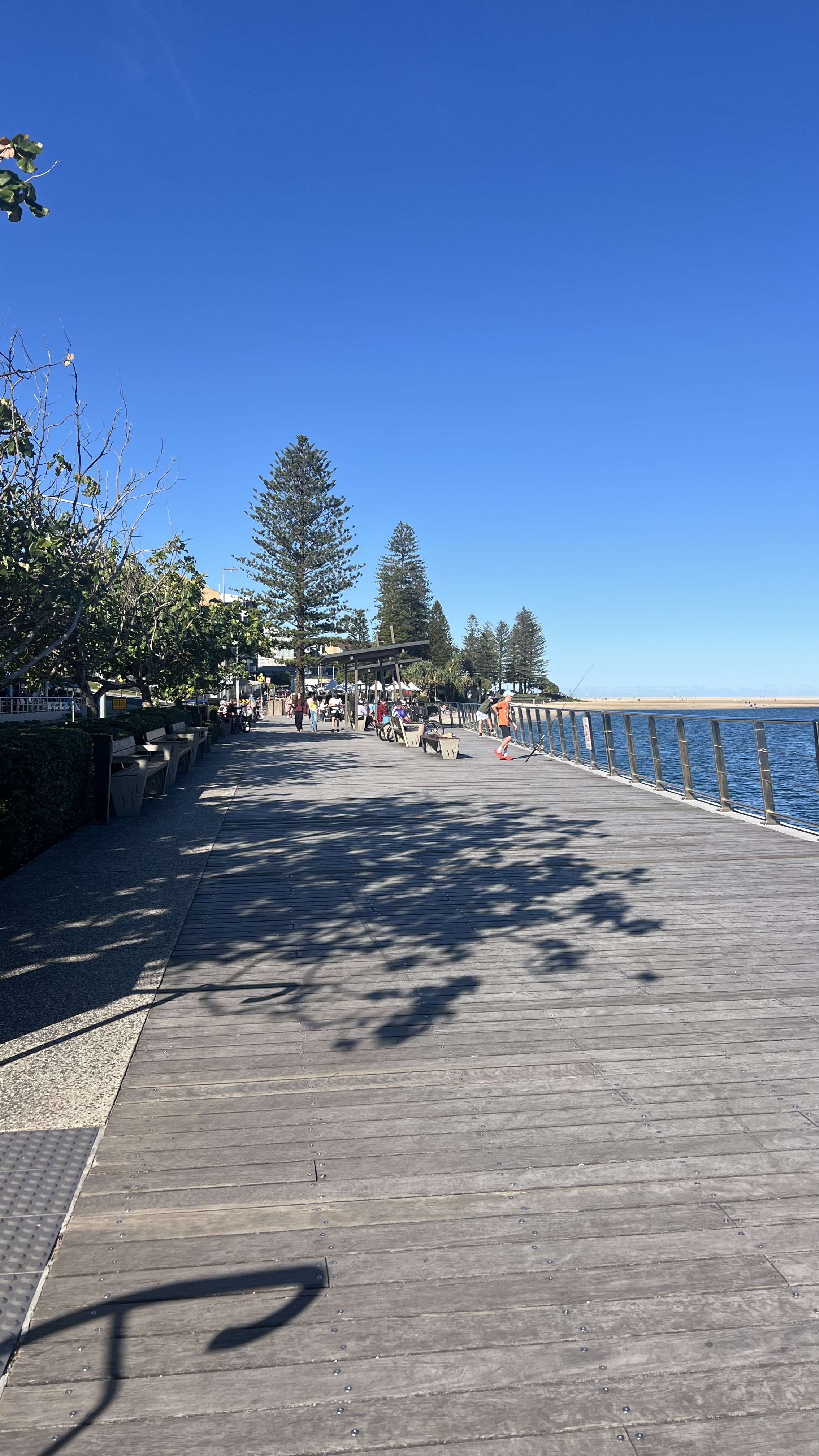 image-20