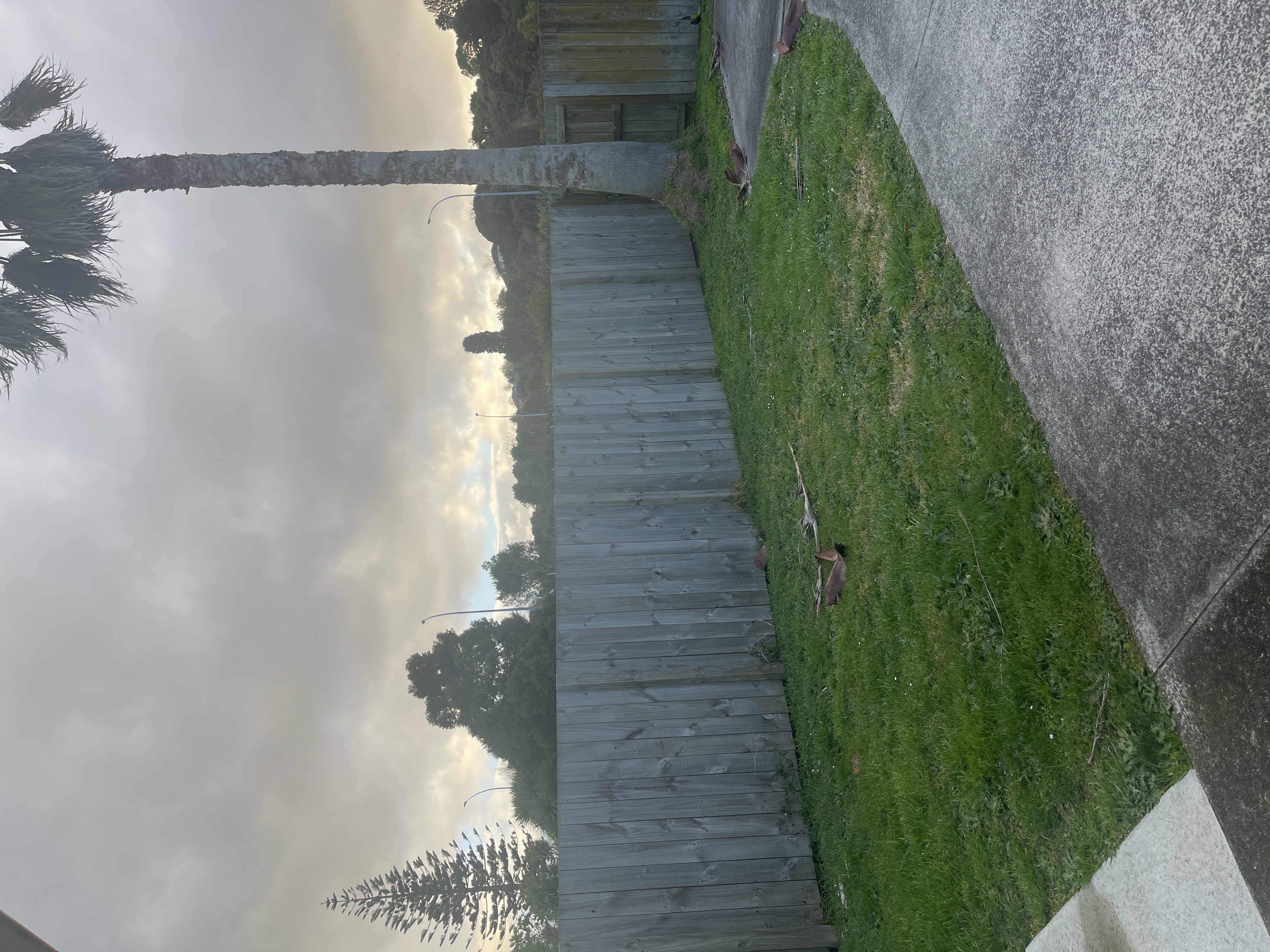 image-17