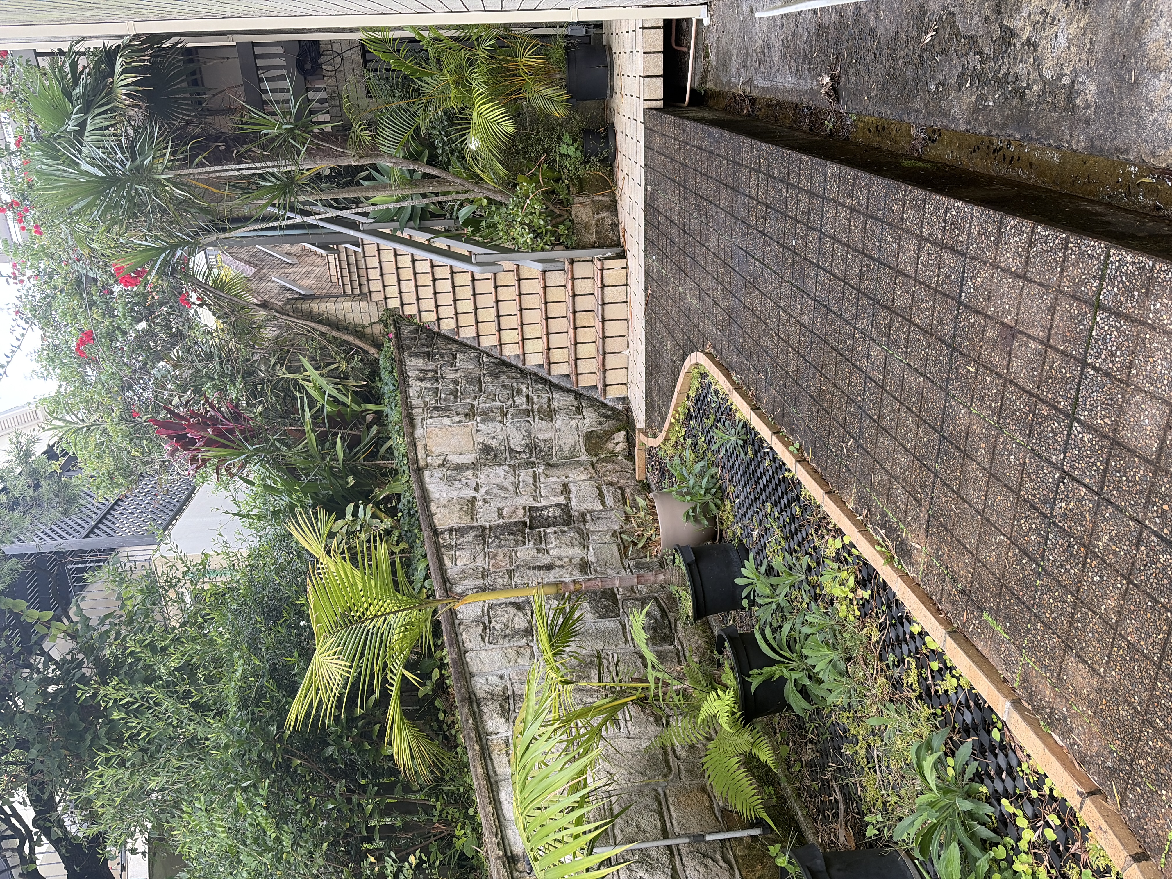 image-19