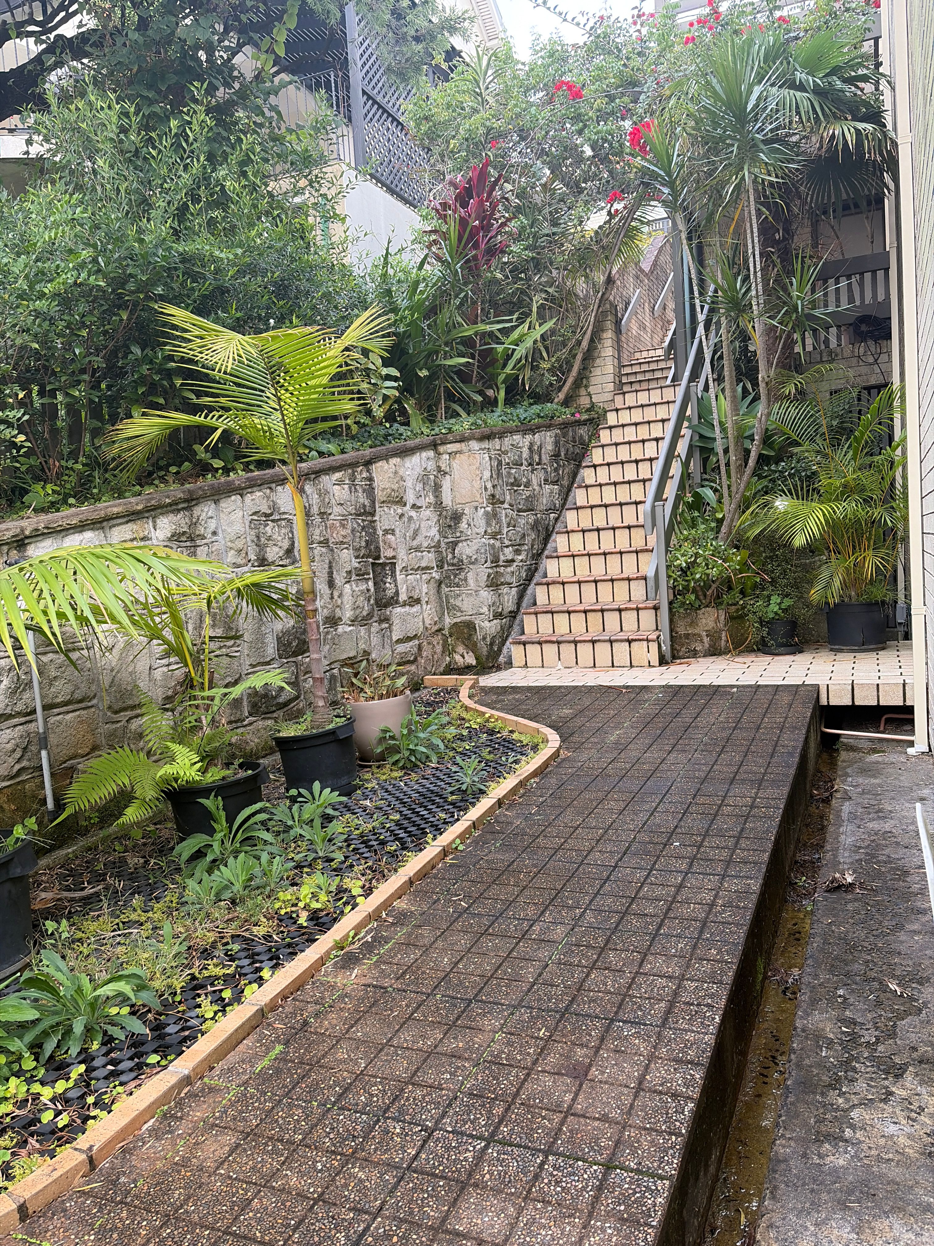 image-19