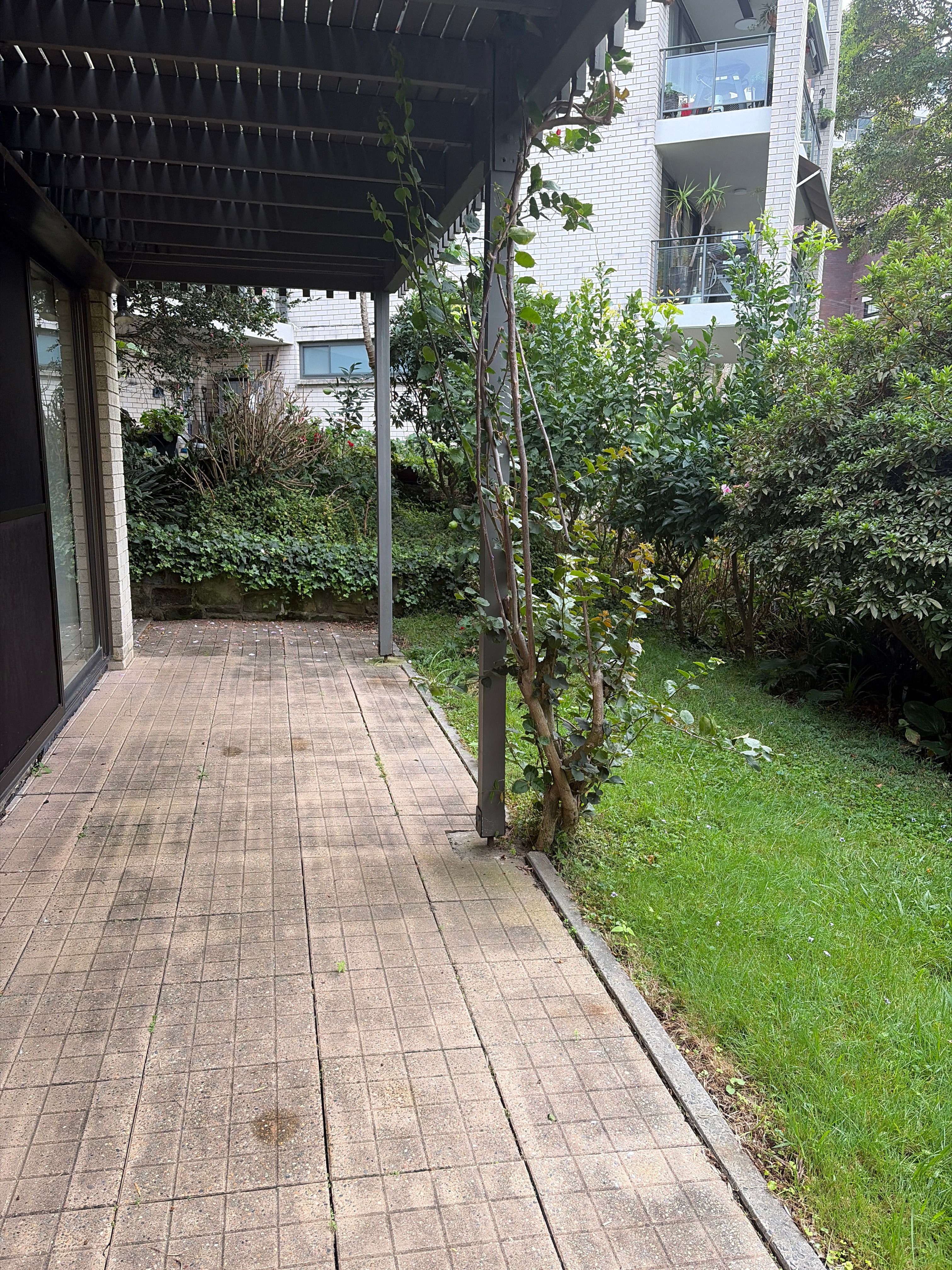 image-18