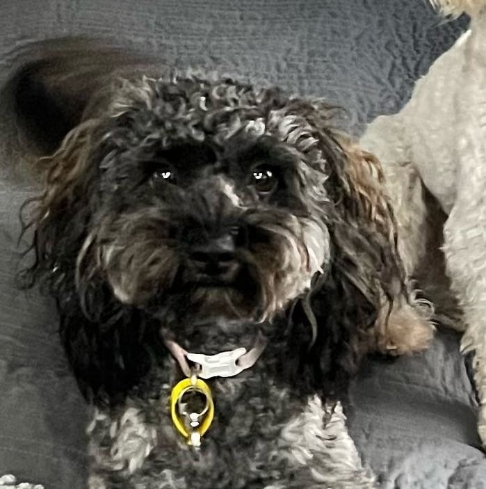 Maggie