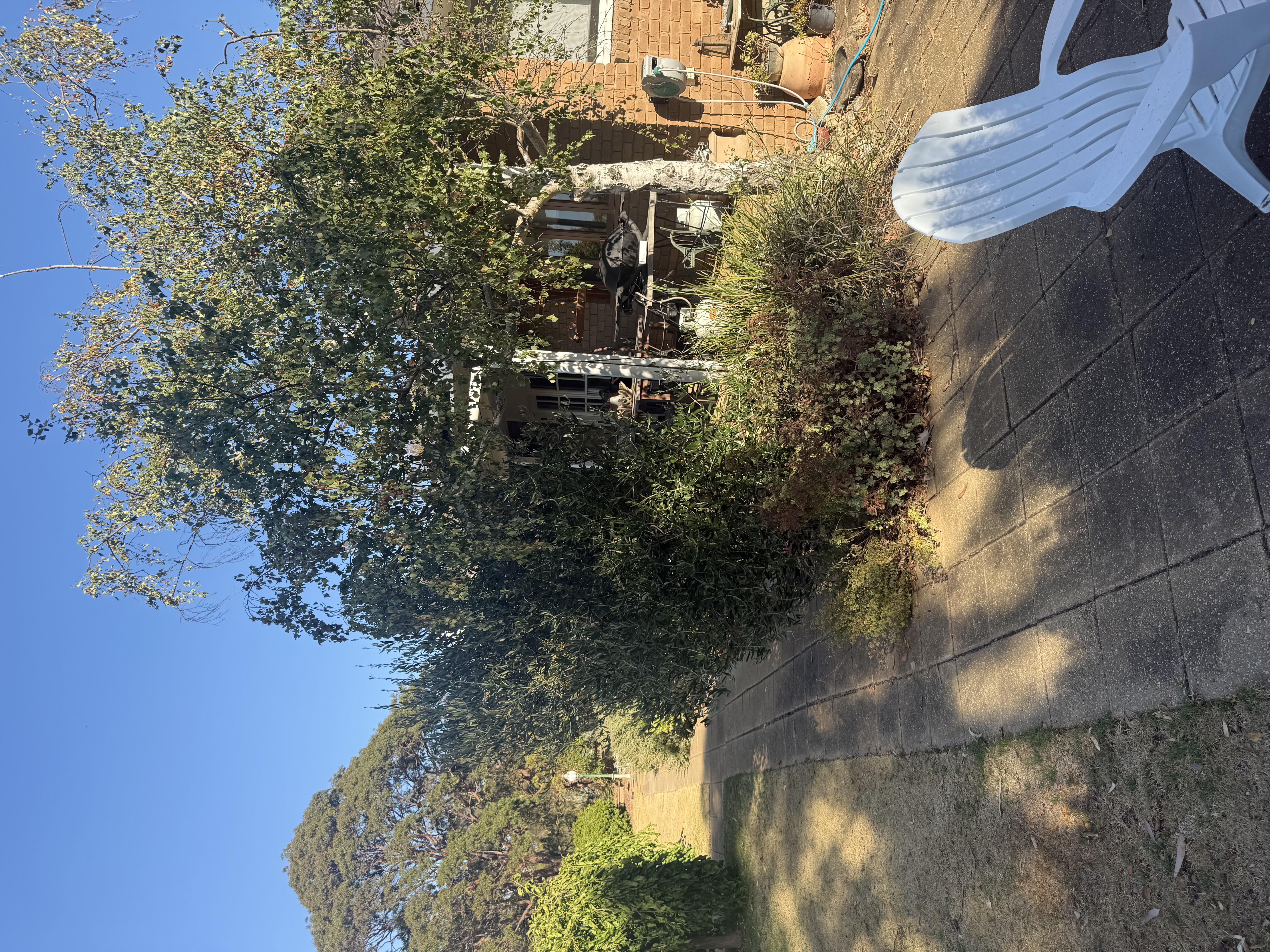 image-6