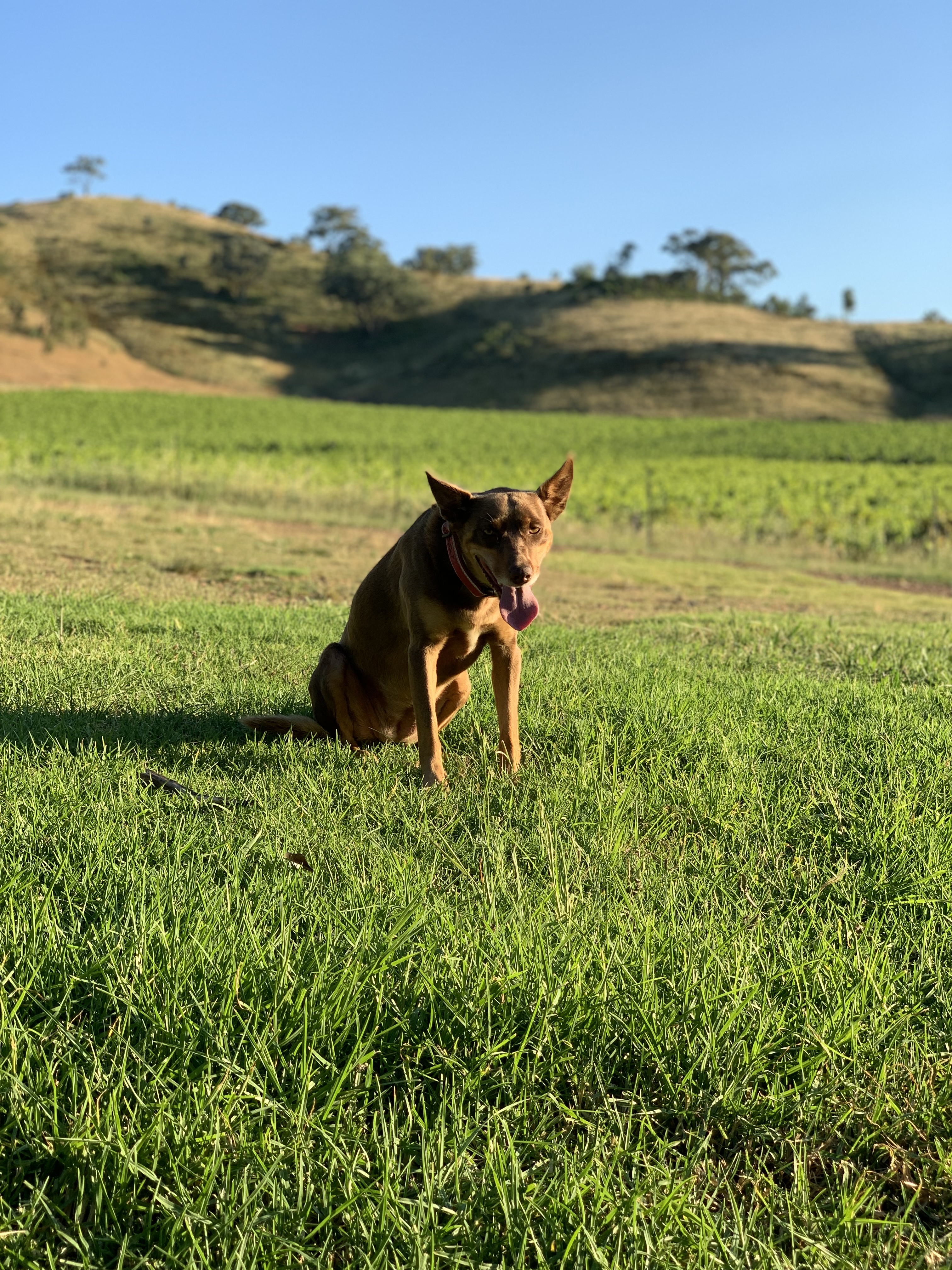 image-11
