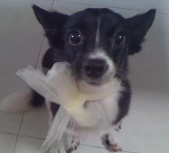image-4