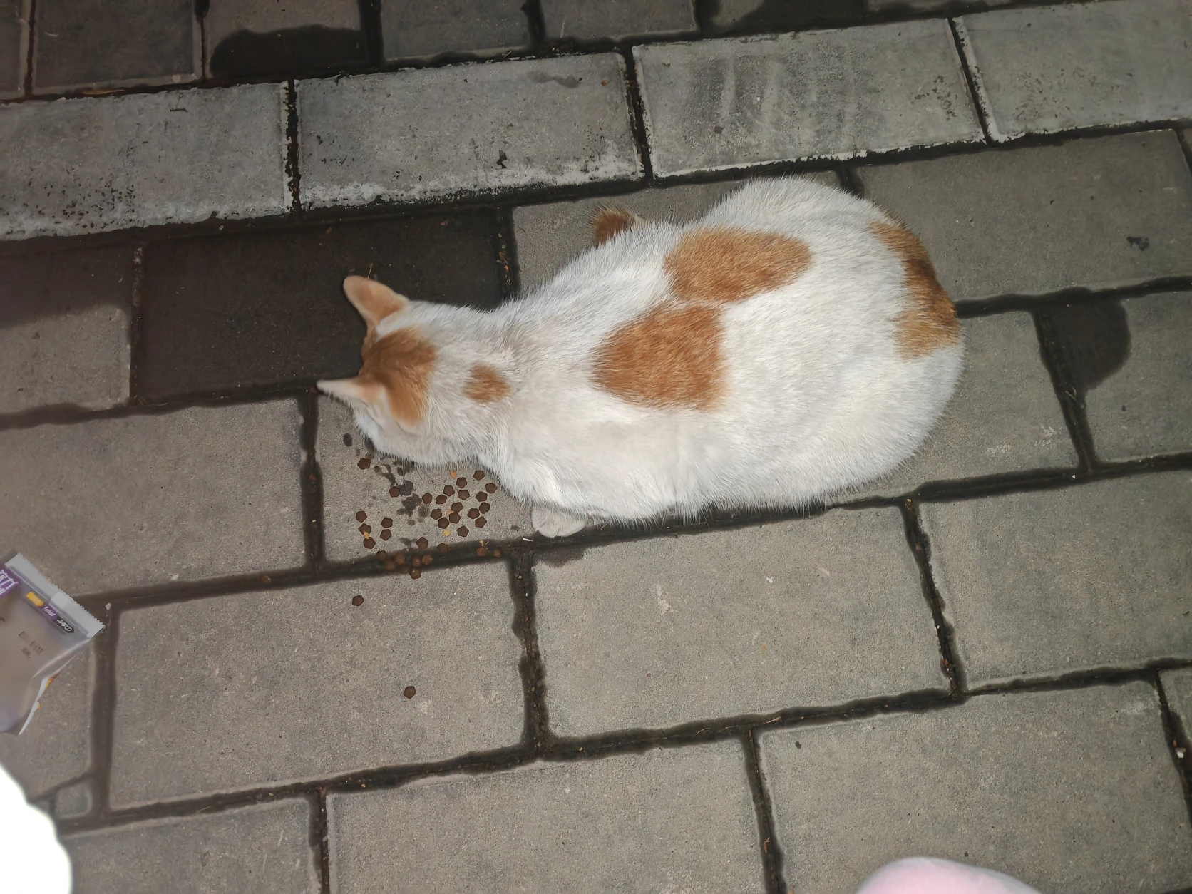 image-19