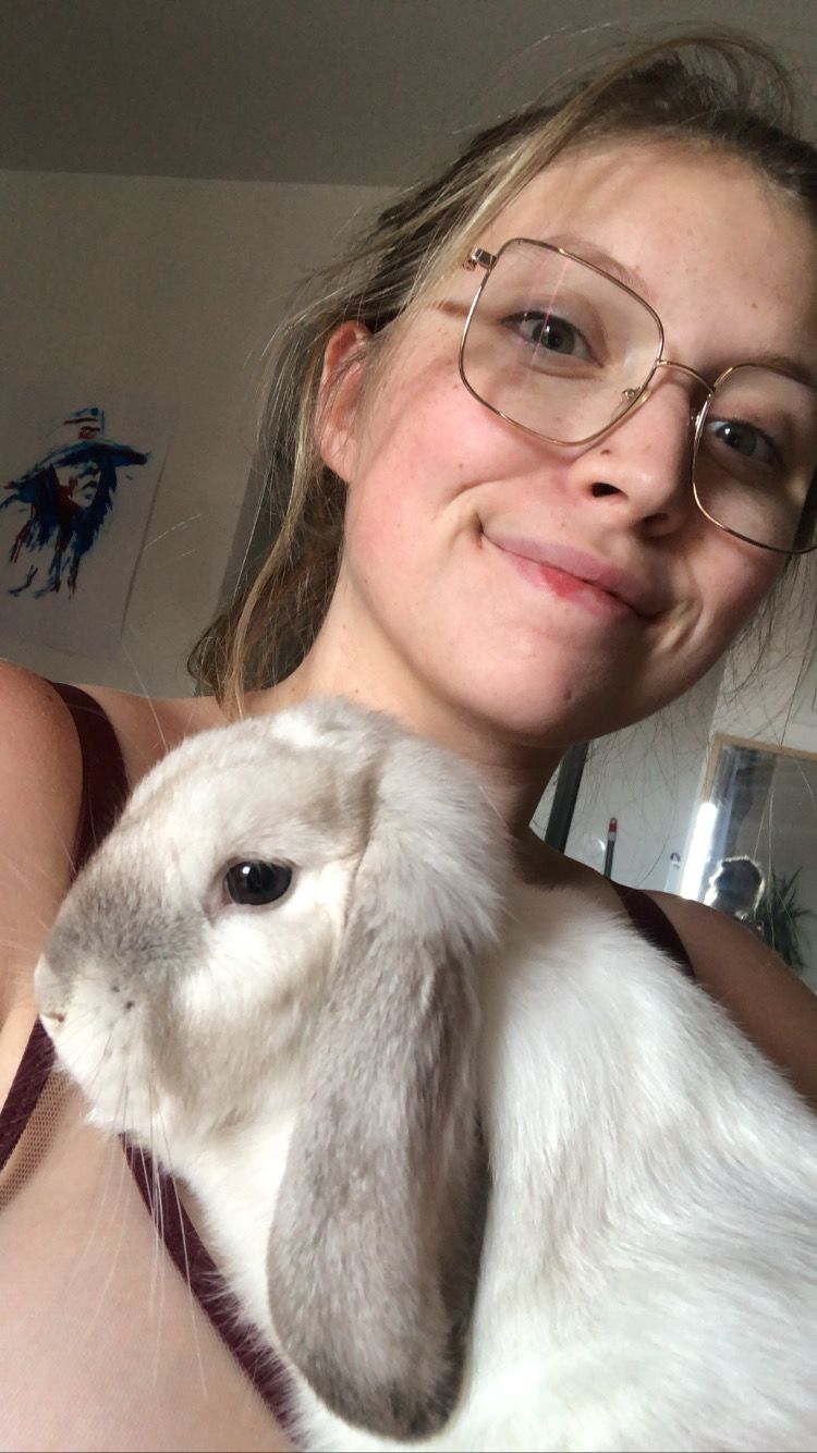 image-2