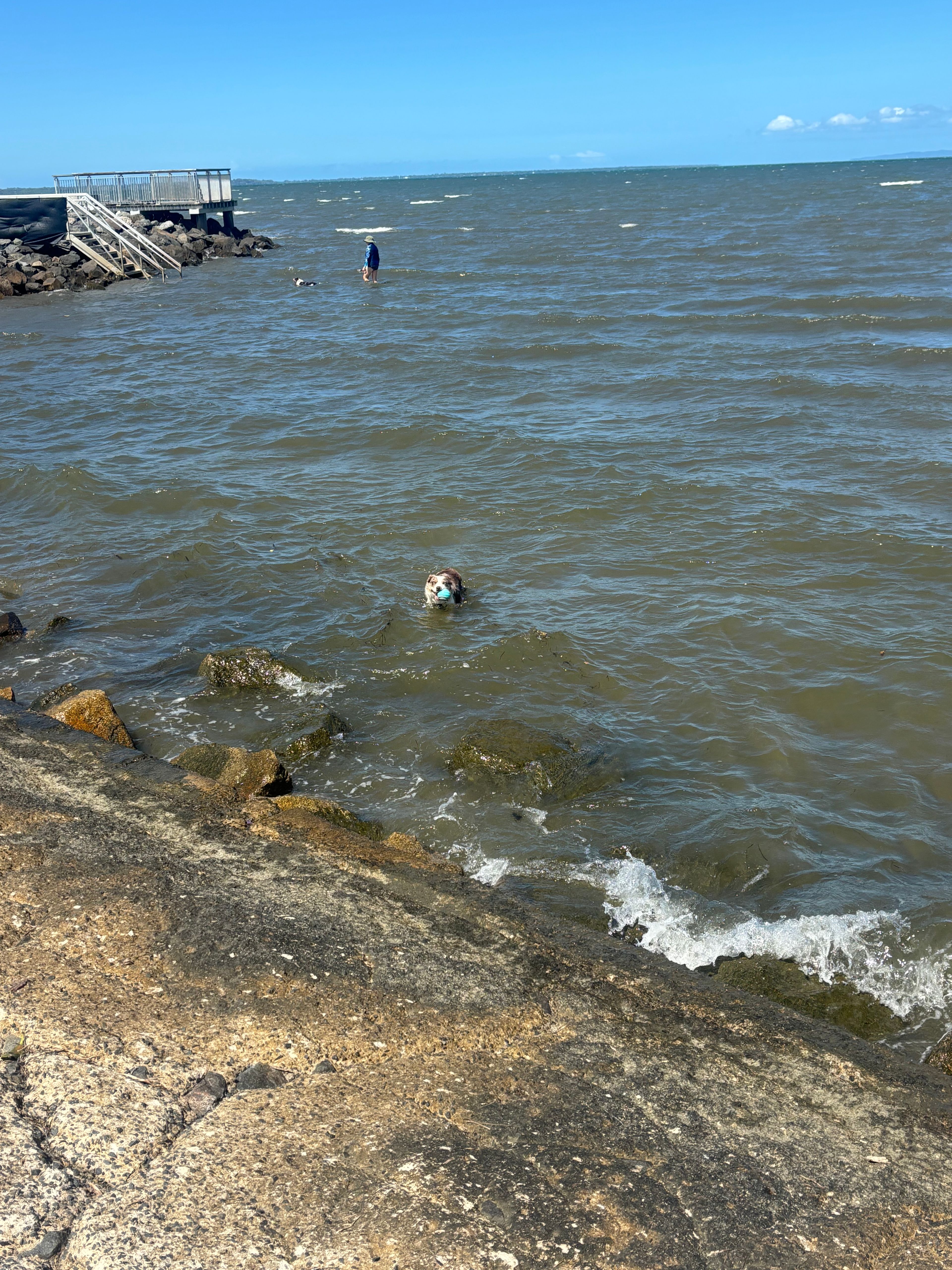image-7