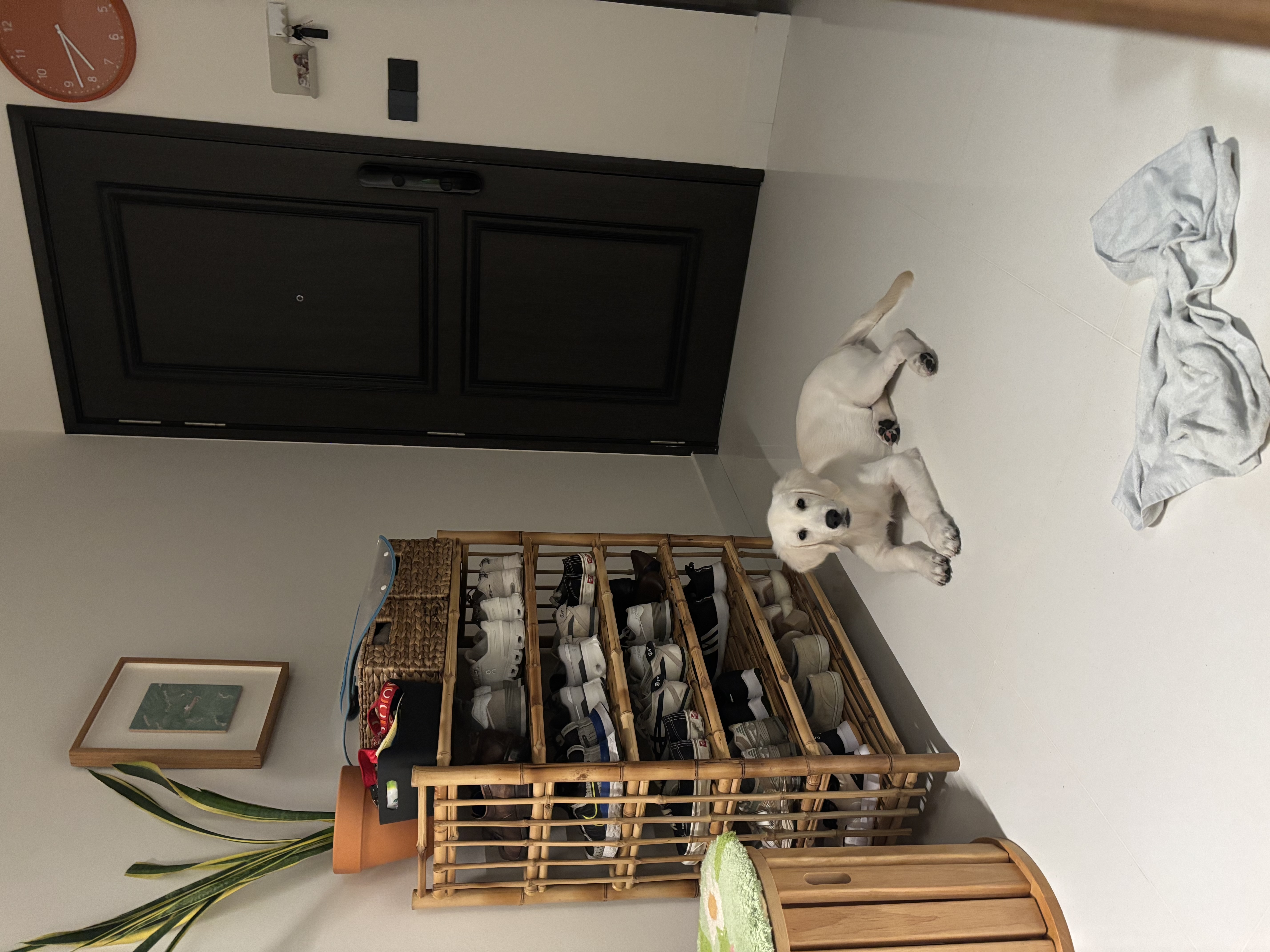 image-12