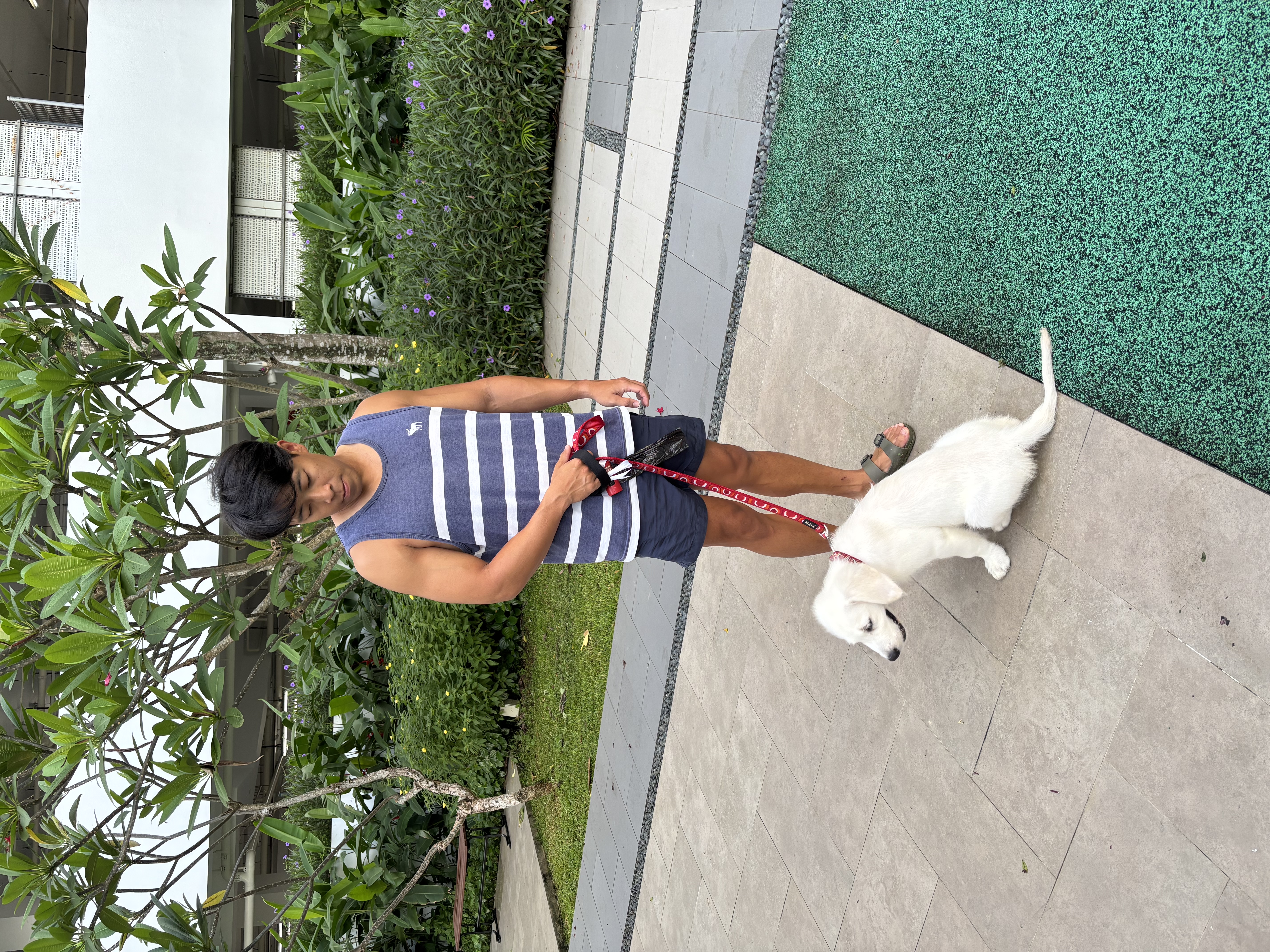 image-7