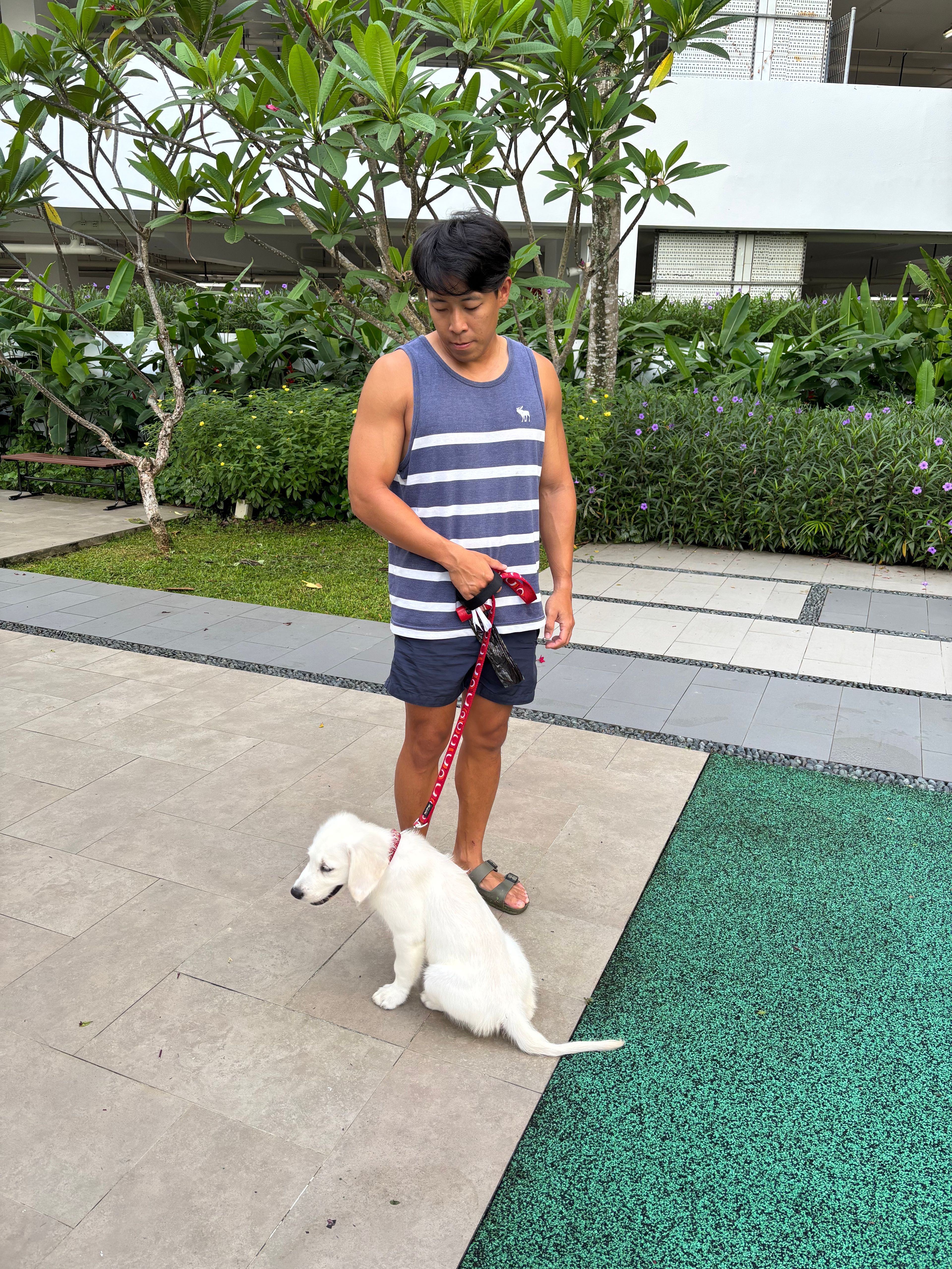 image-7