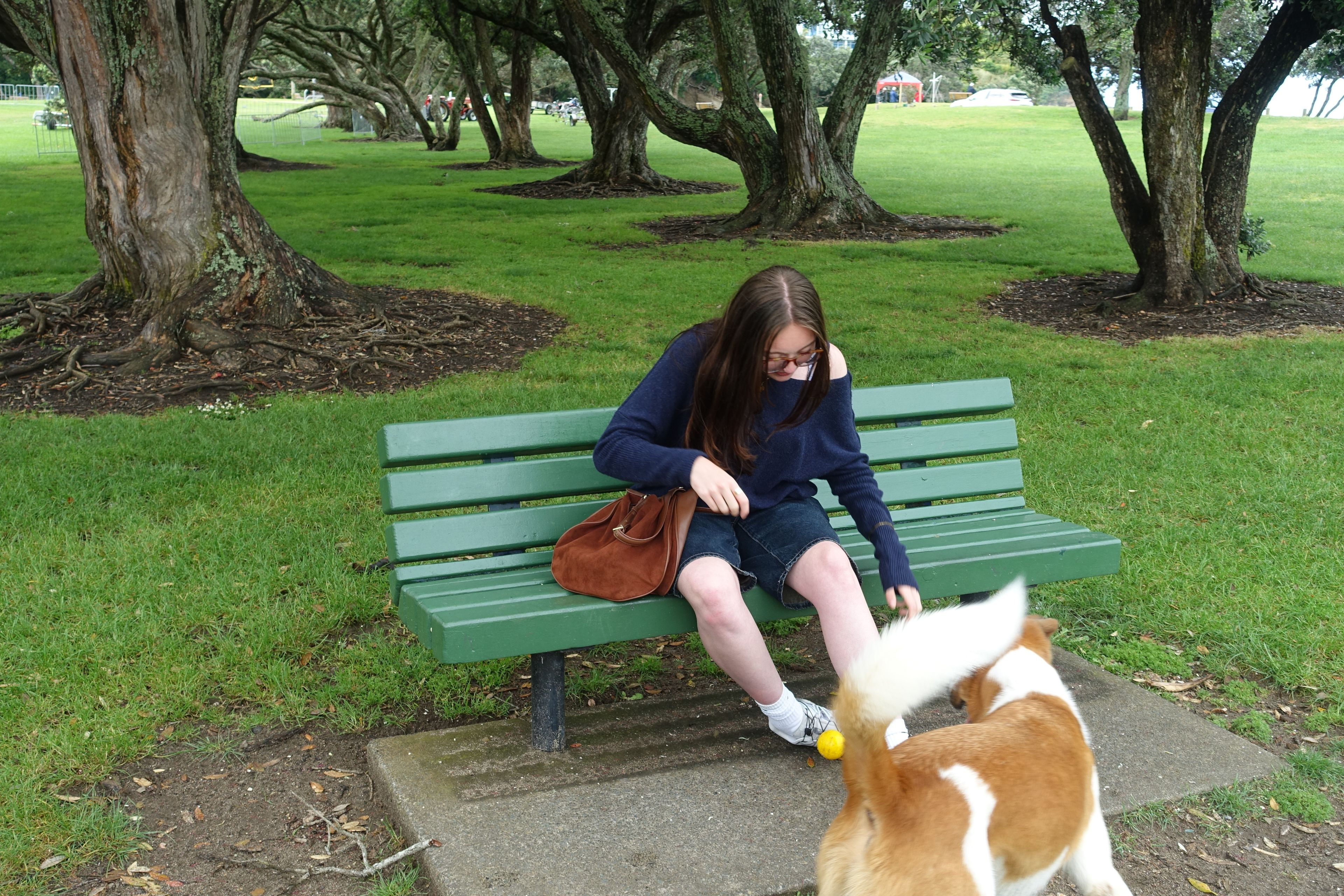 image-5