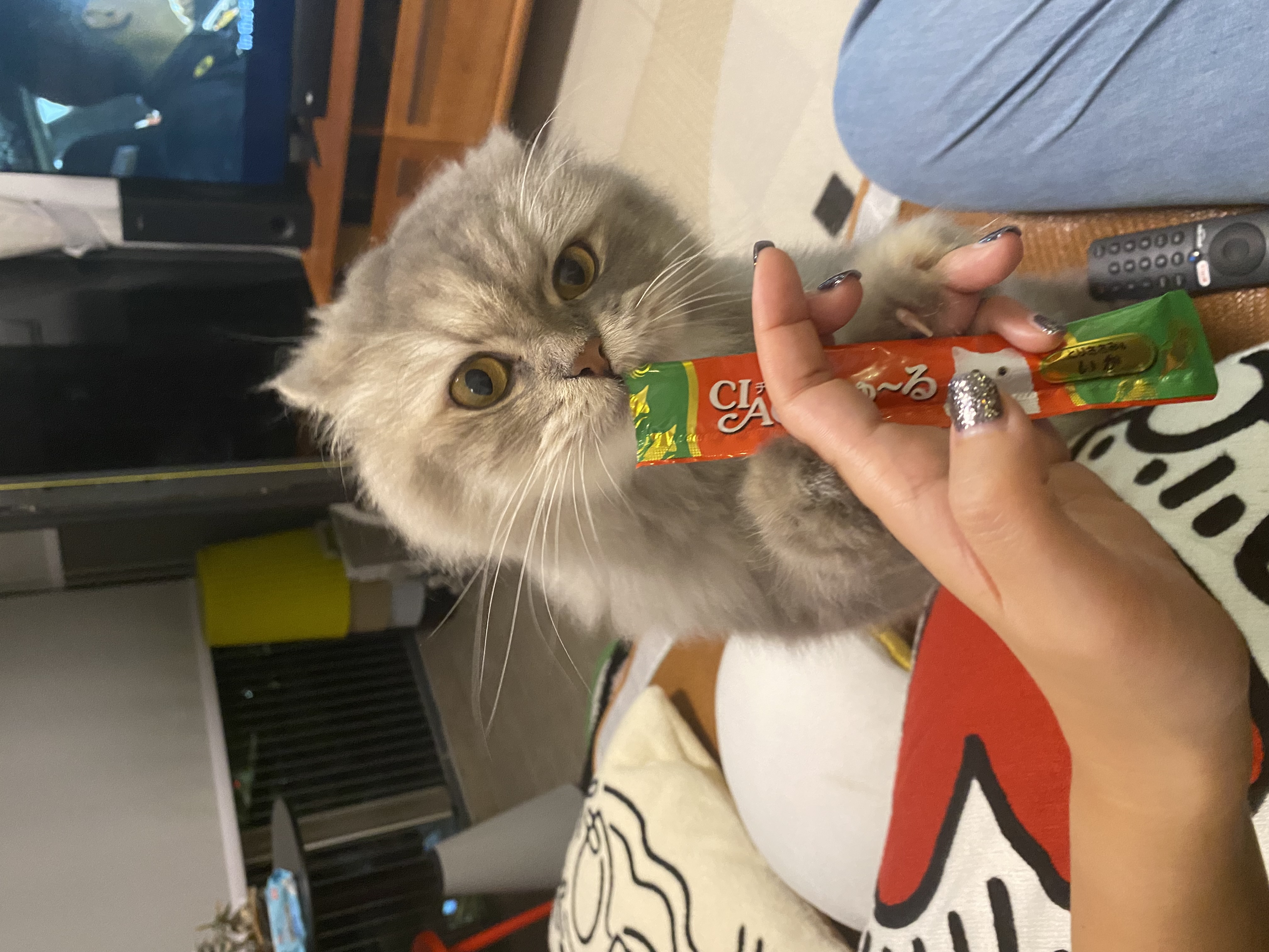image-7
