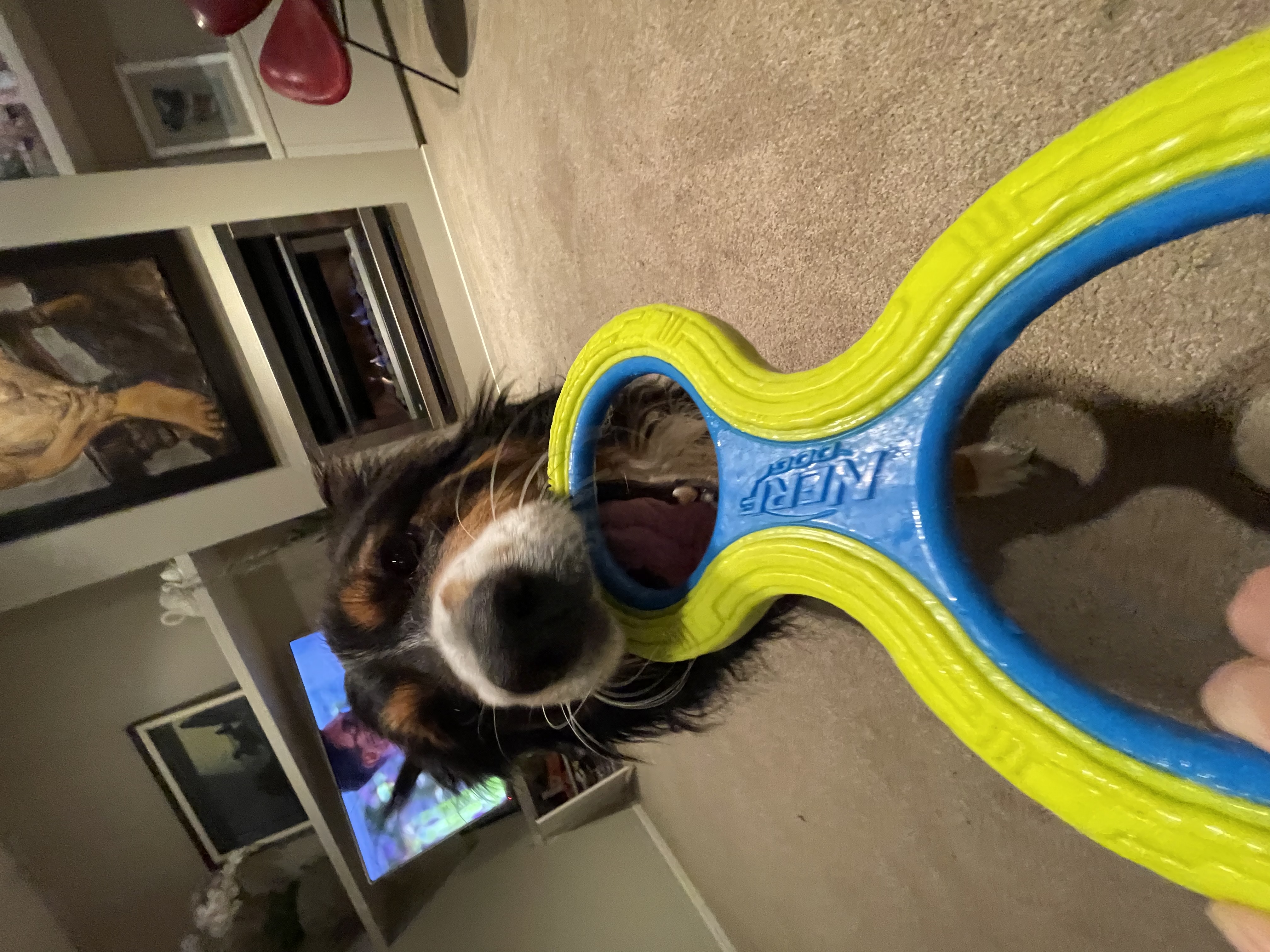 image-6
