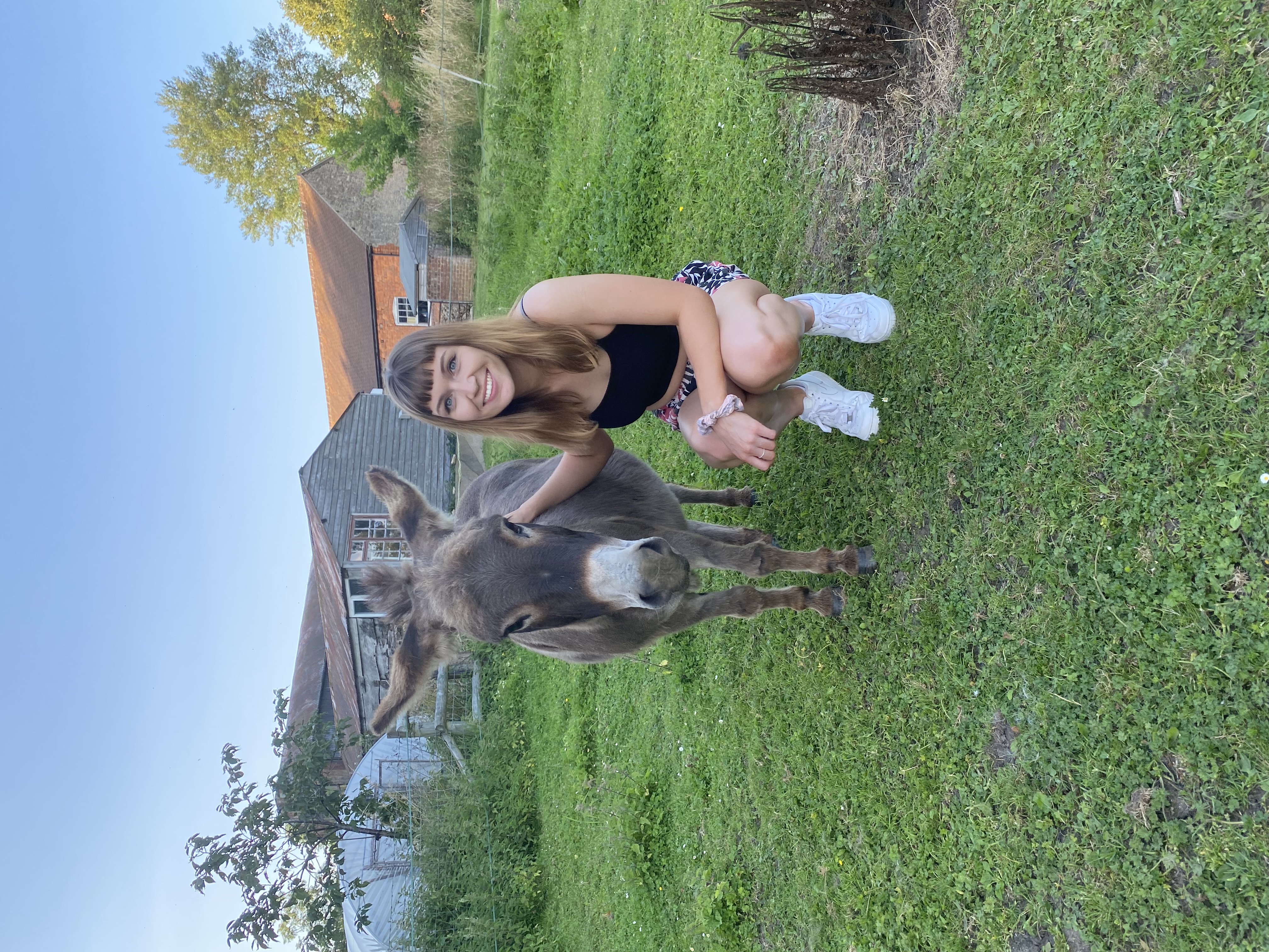 image-7
