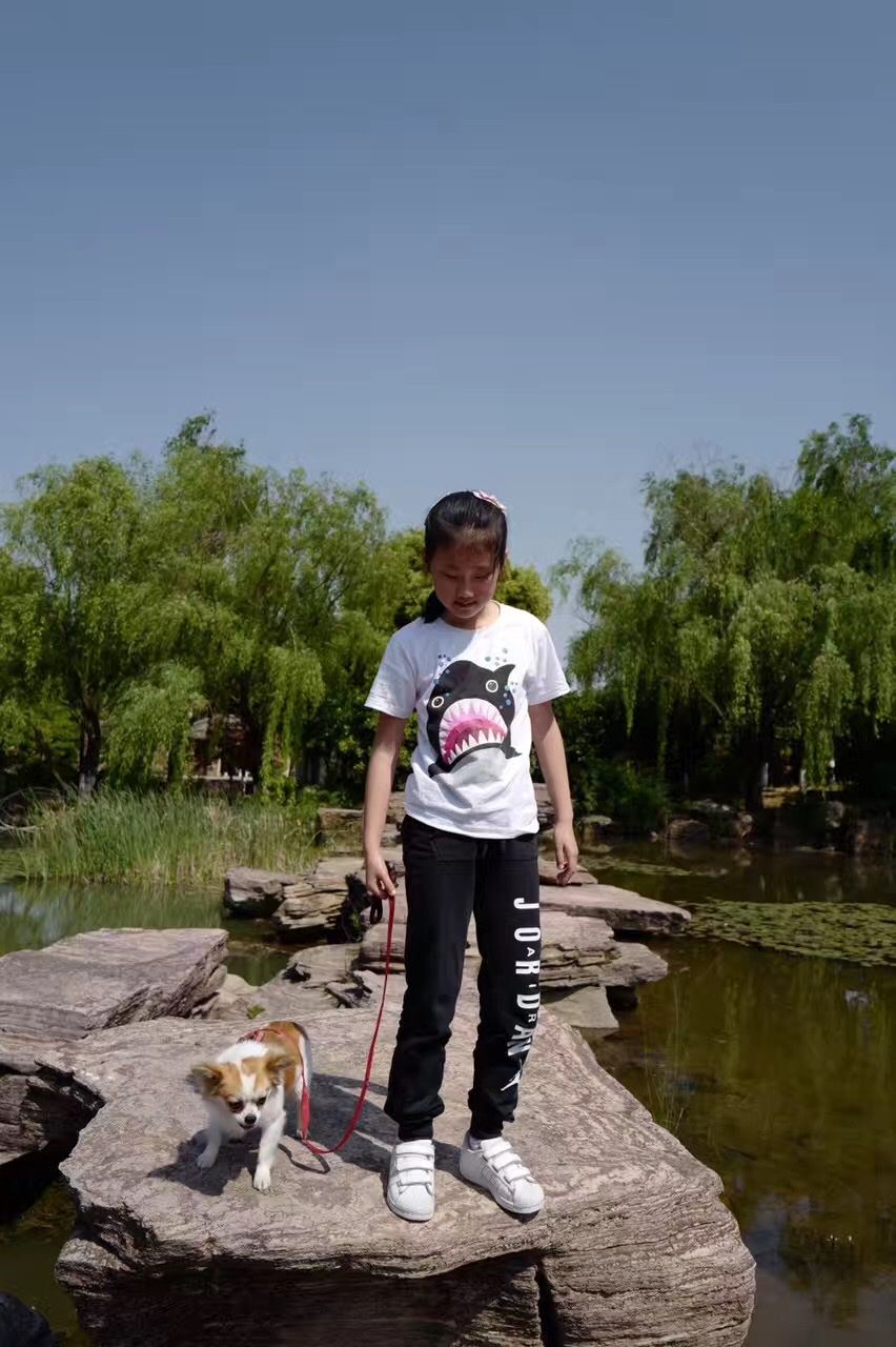 image-12