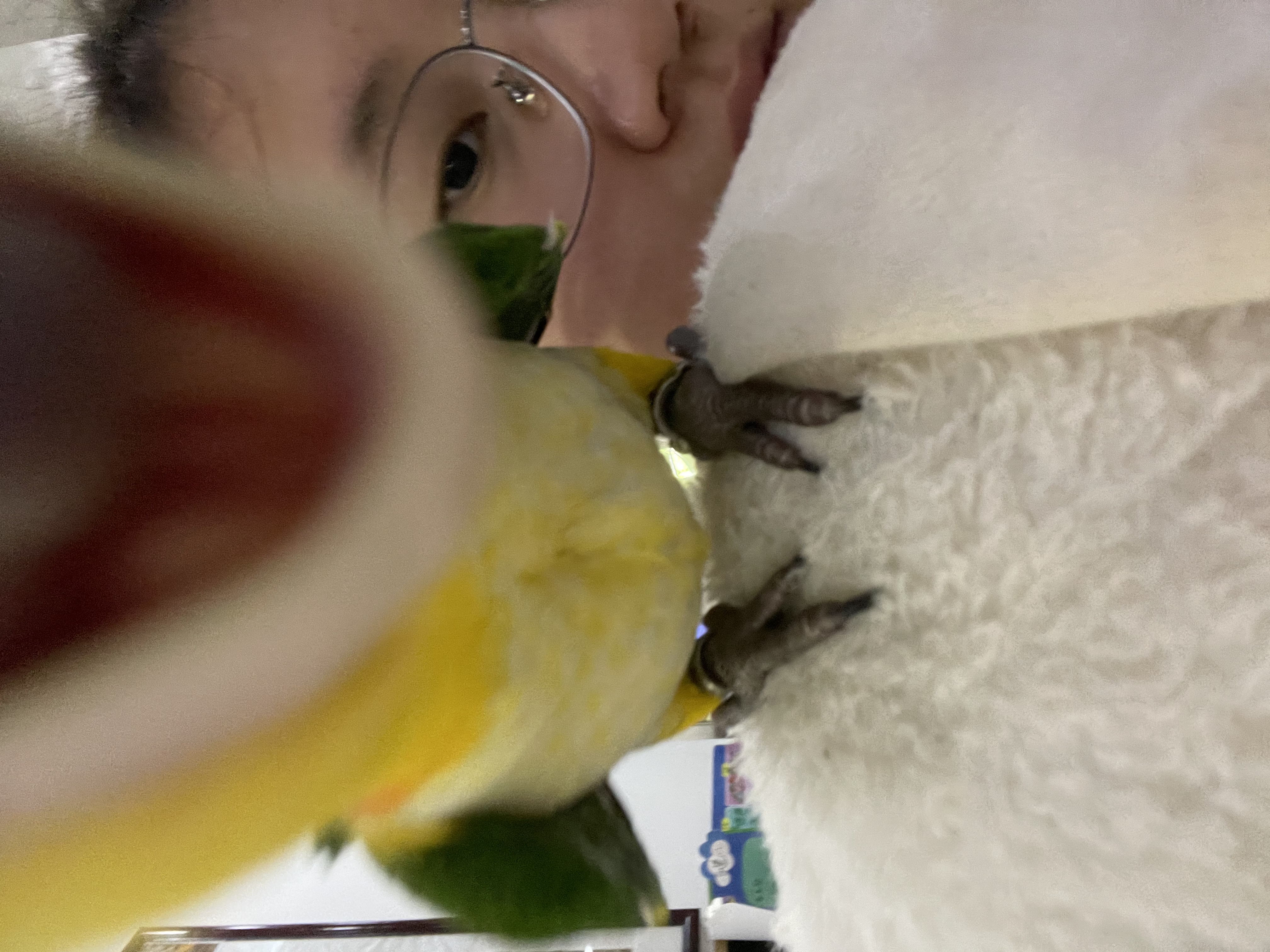 image-5