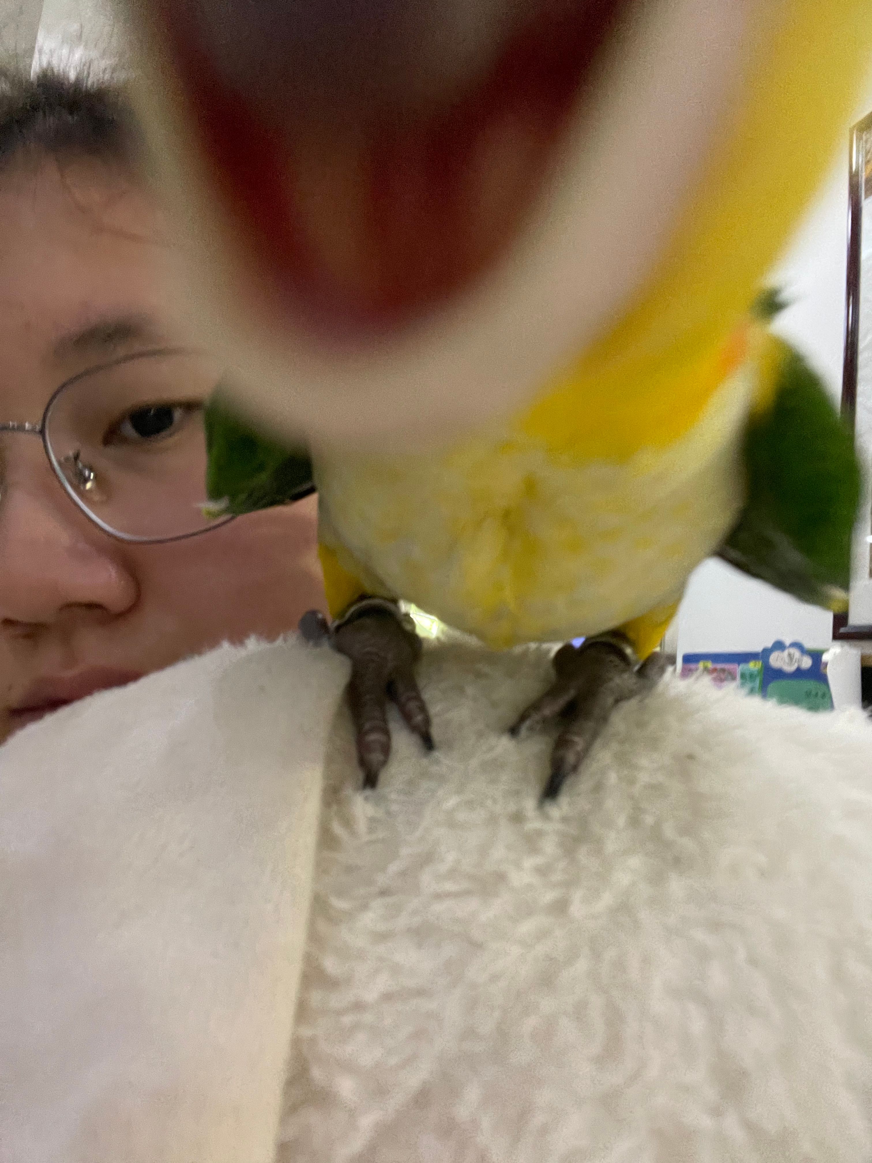 image-5