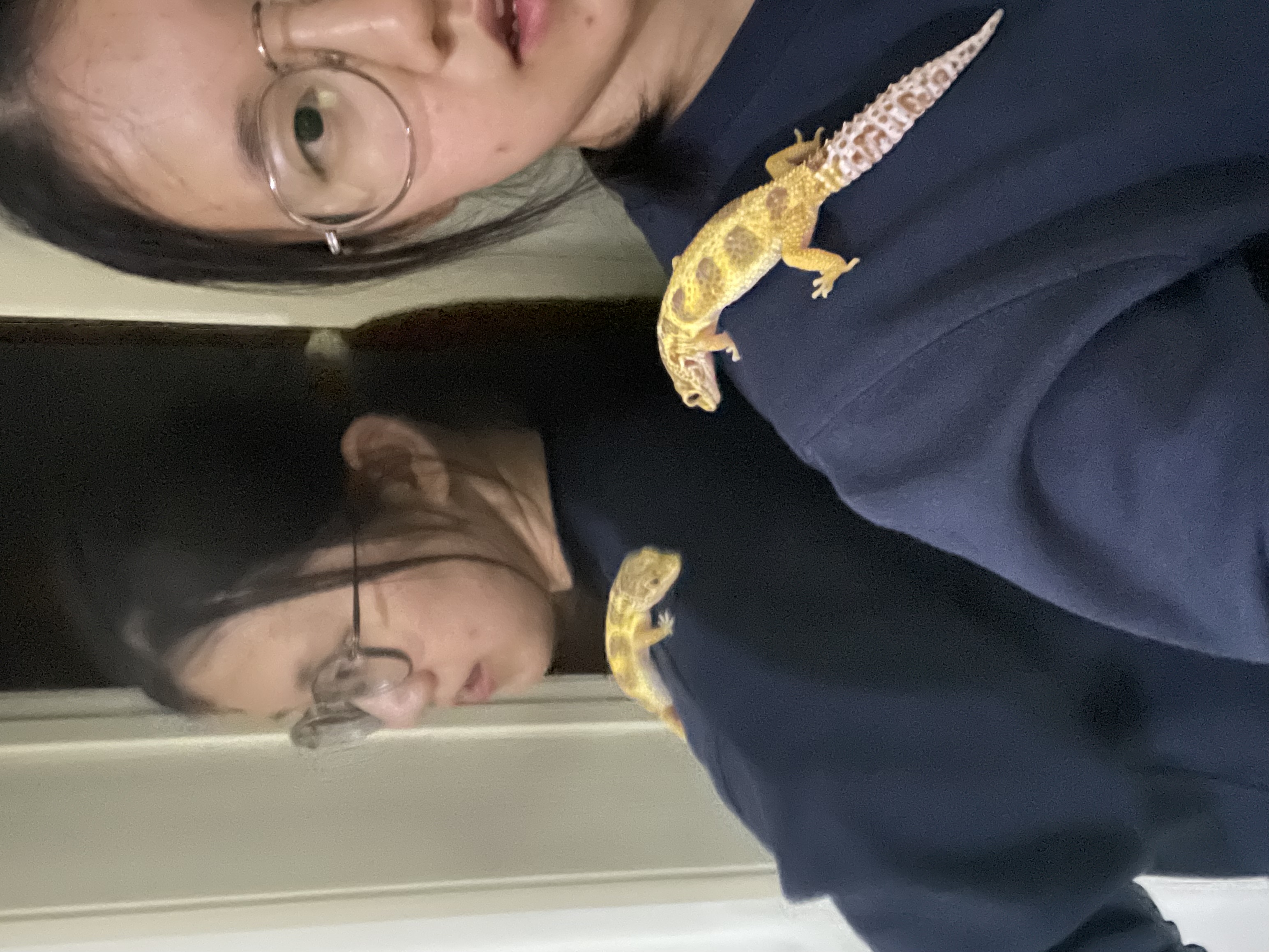 image-8