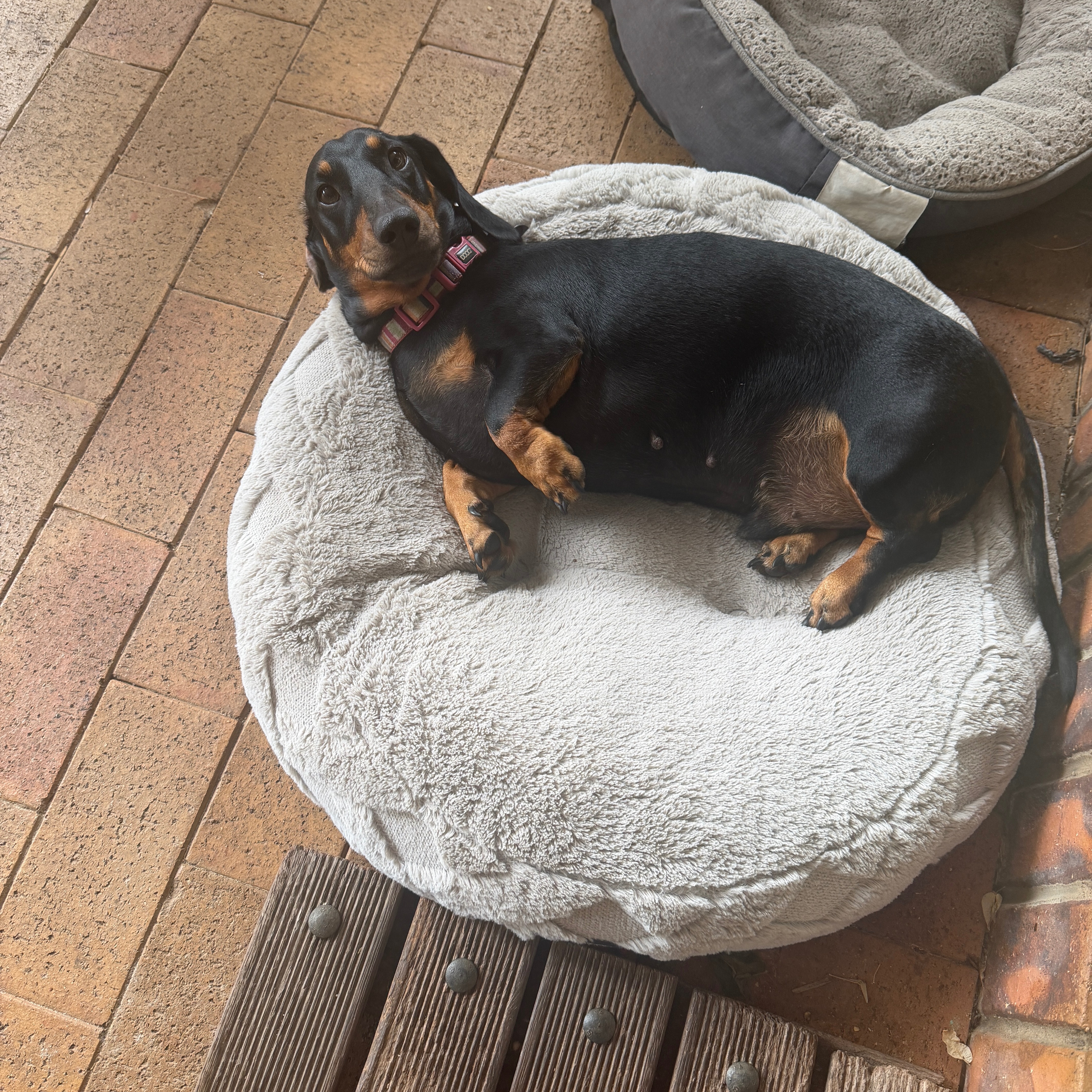 Rocky