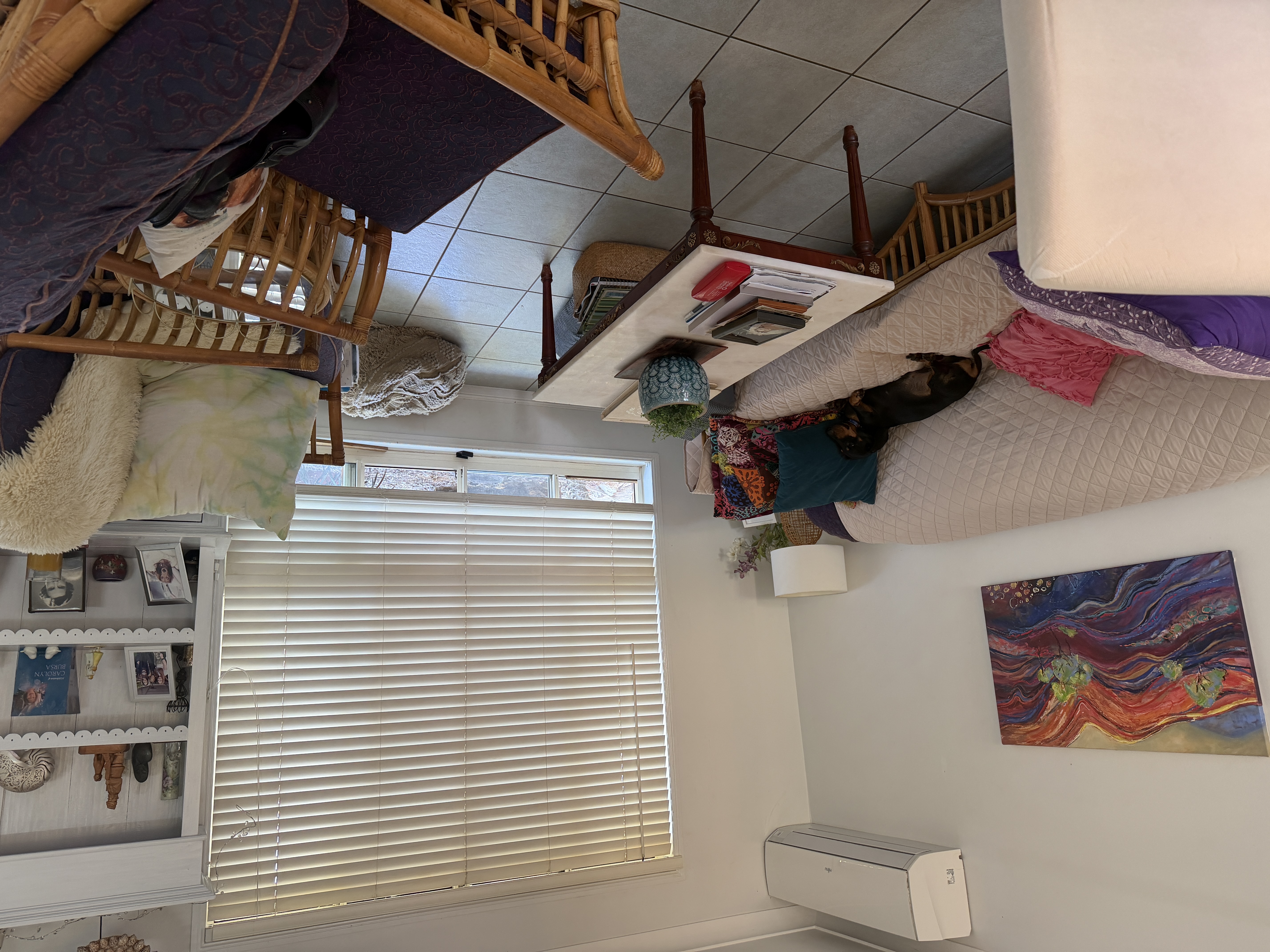 image-13