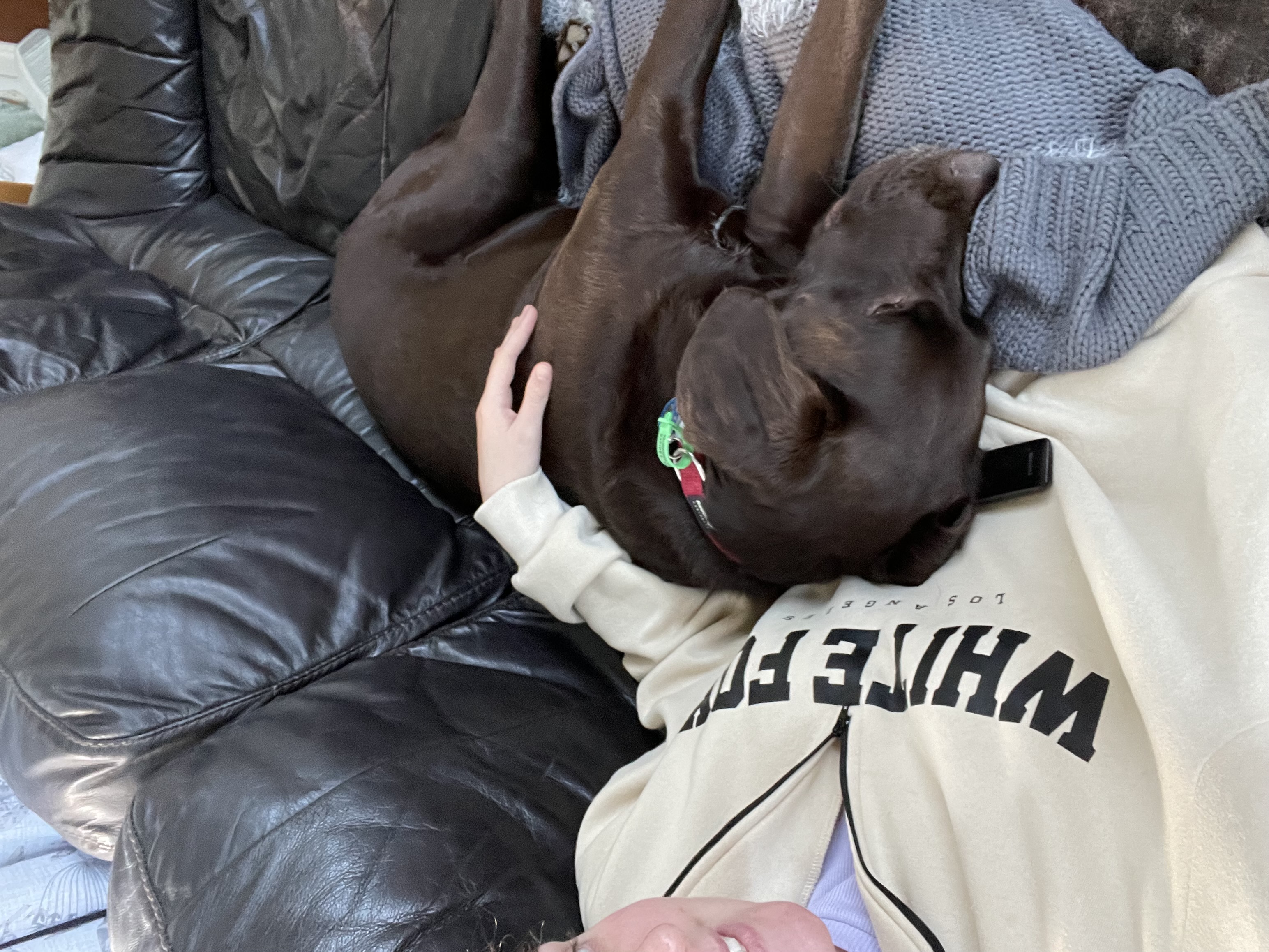 image-11