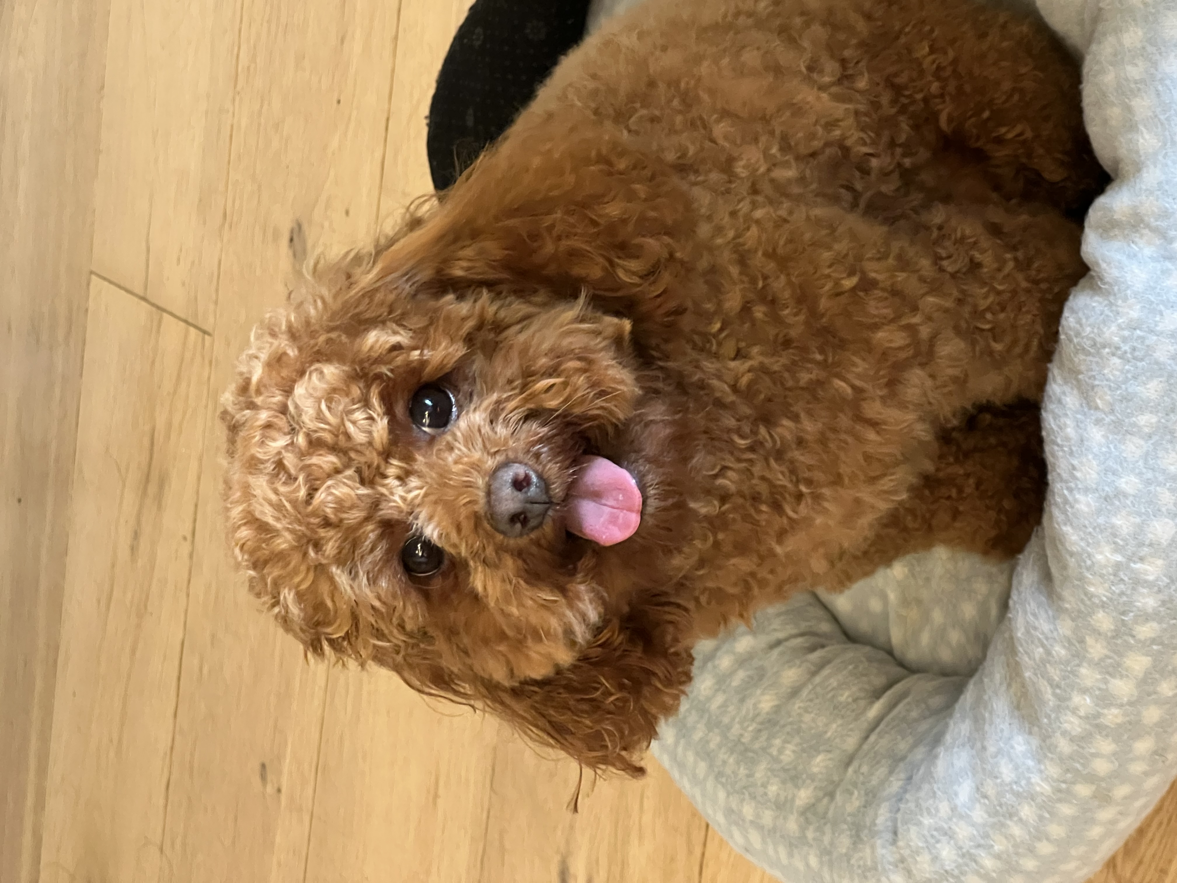 image-8