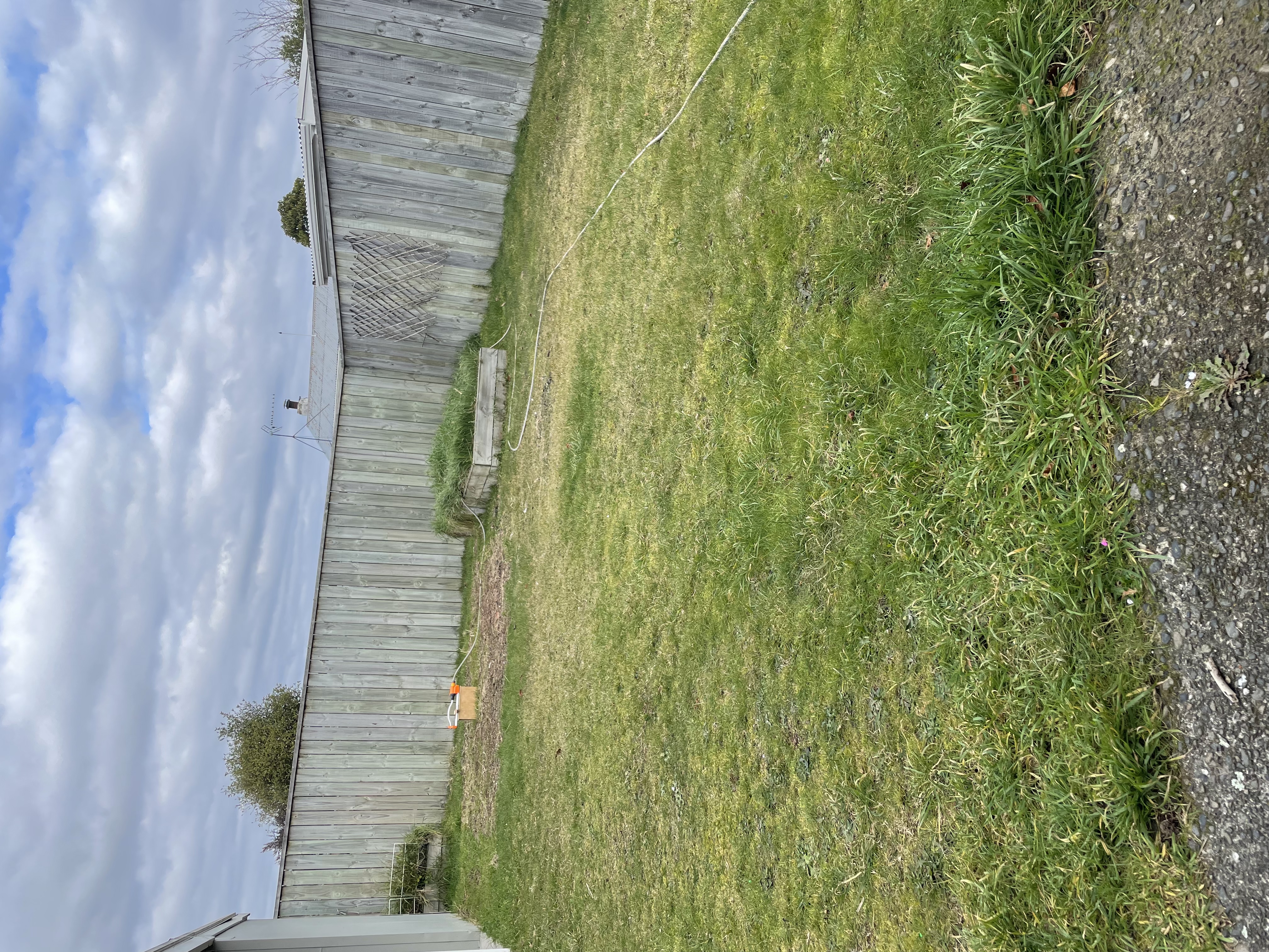 image-22