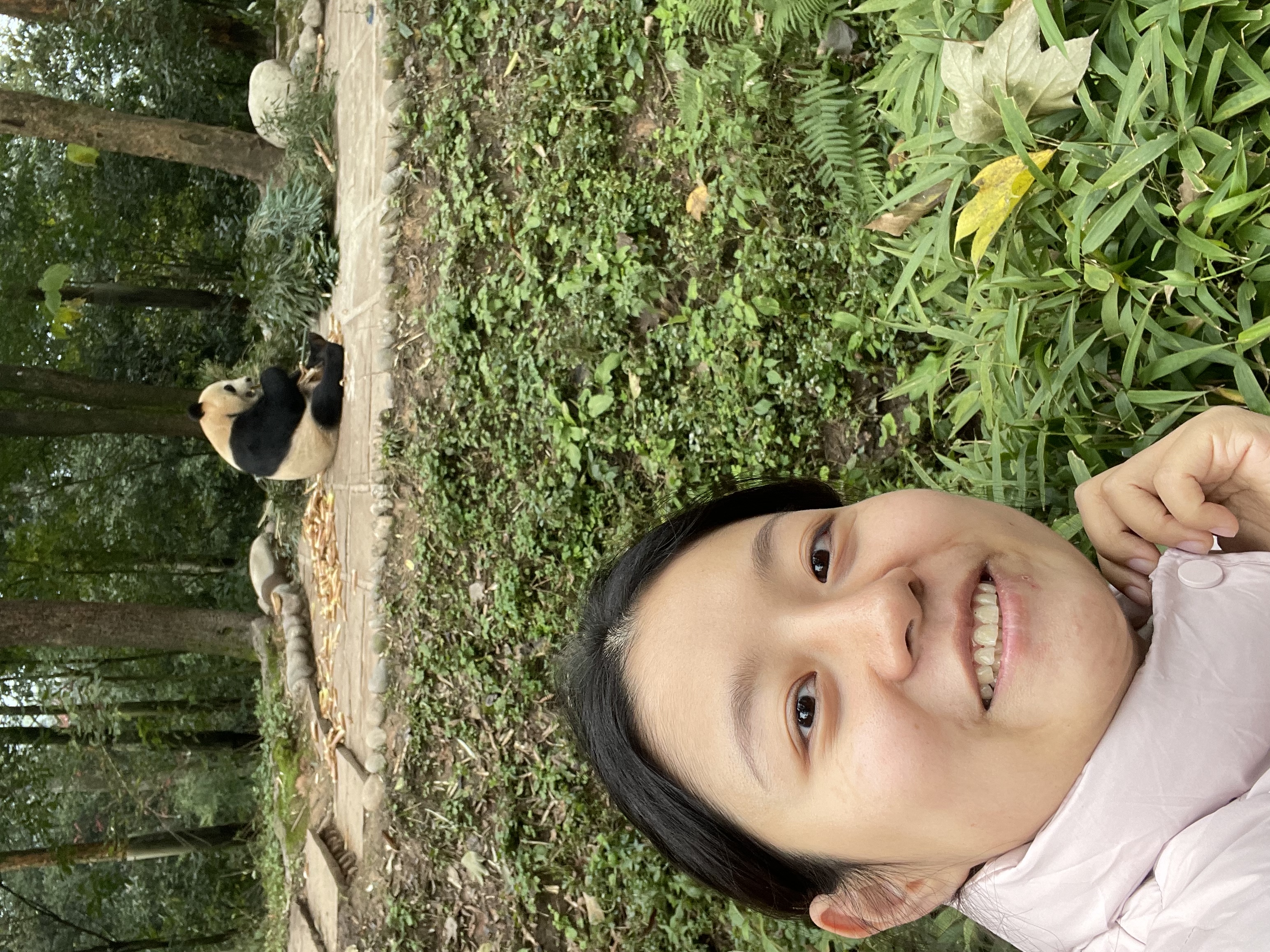image-15