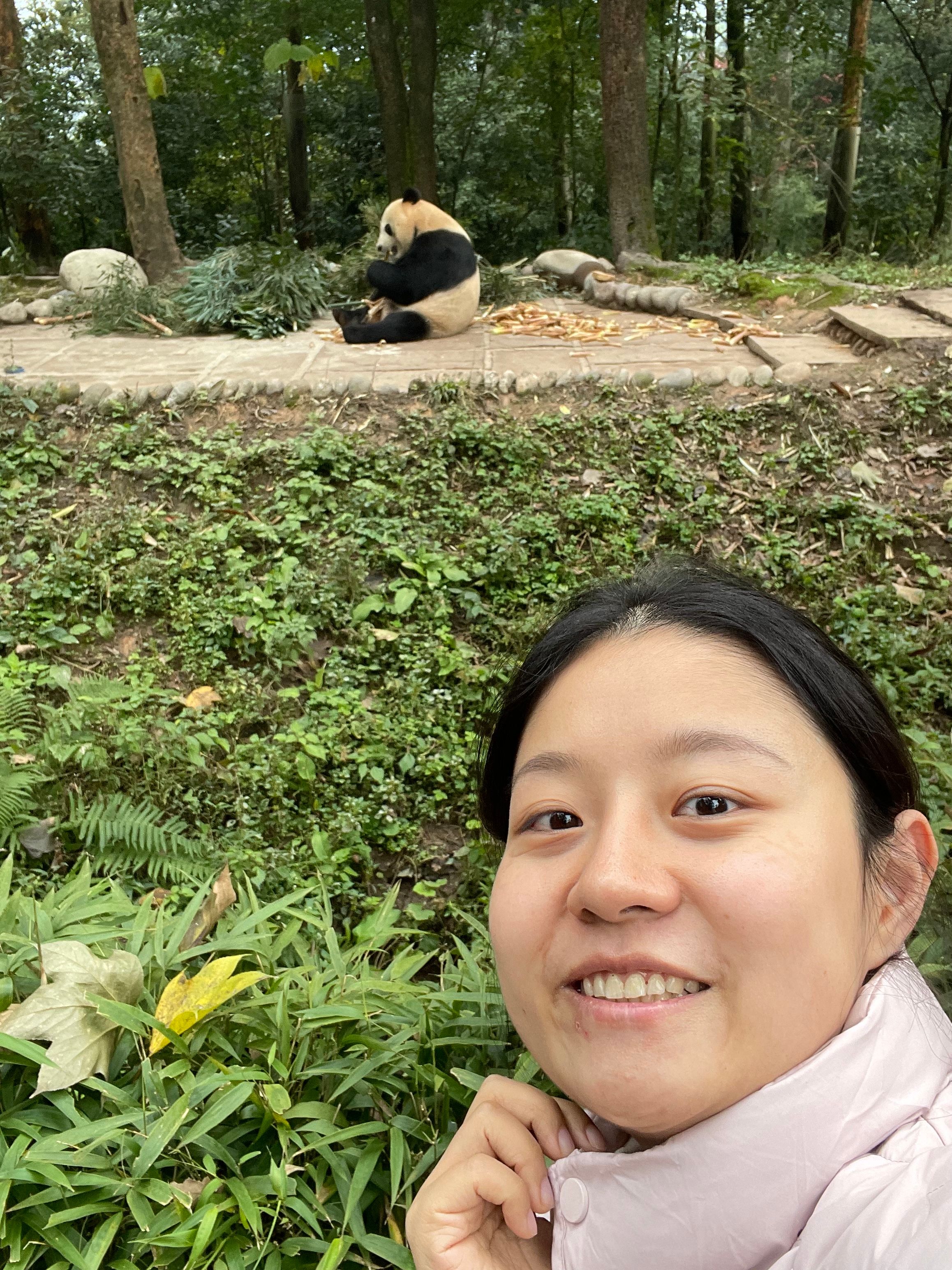 image-15