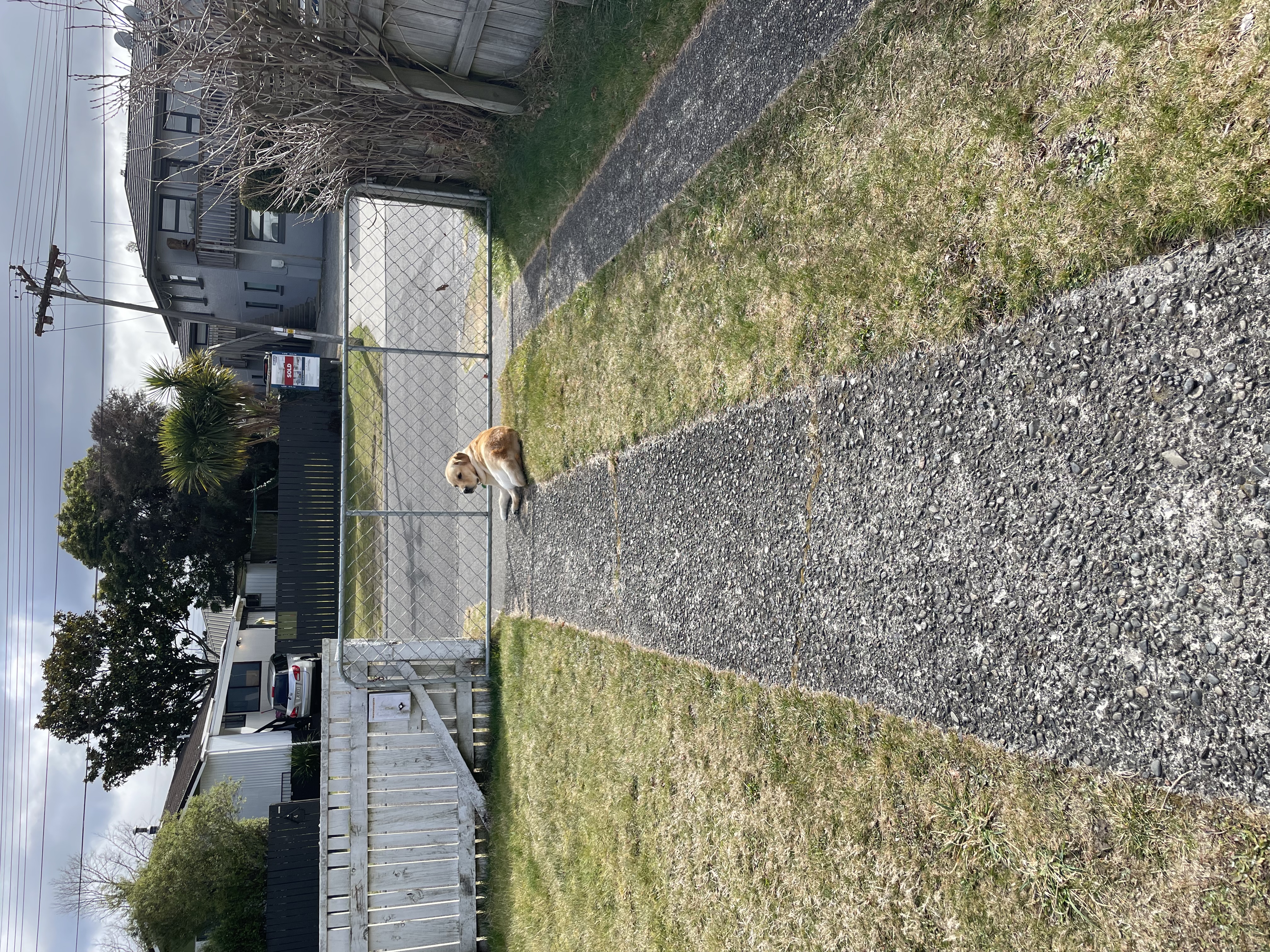 image-20