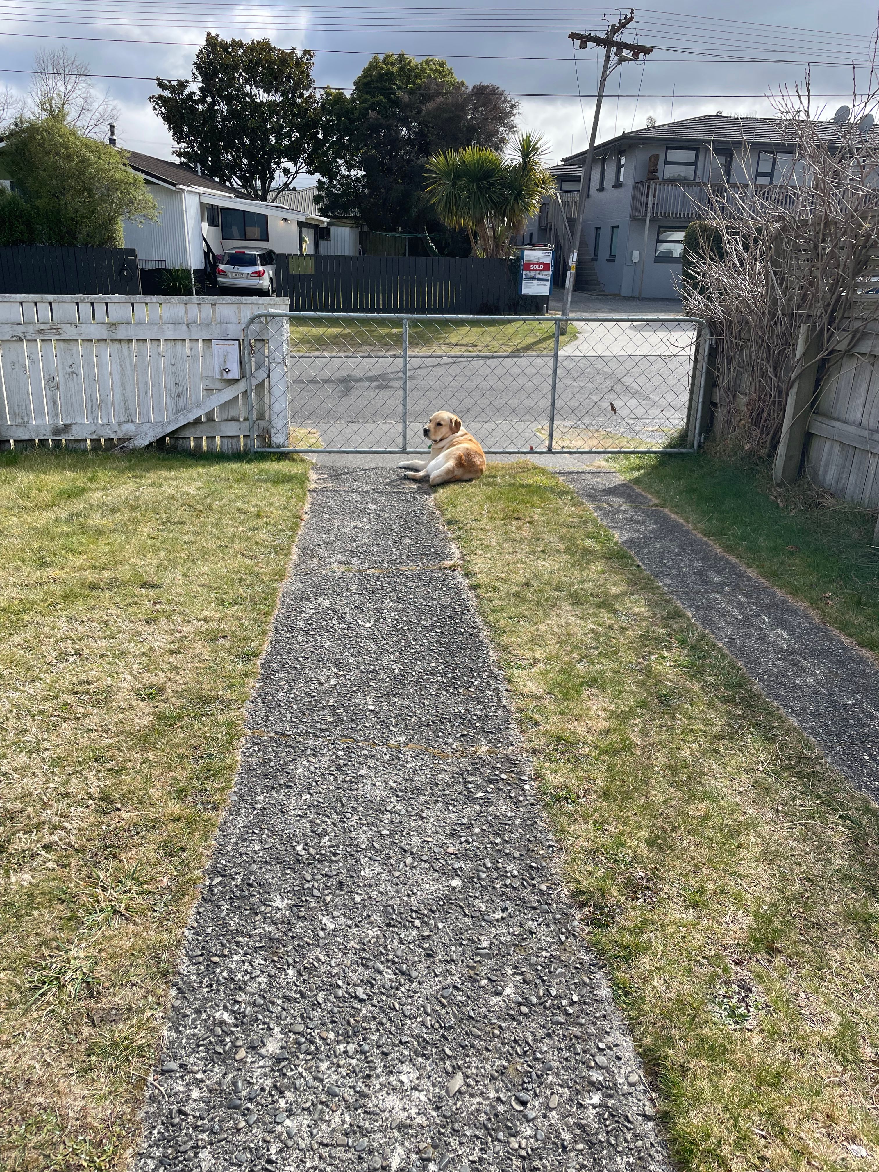image-20