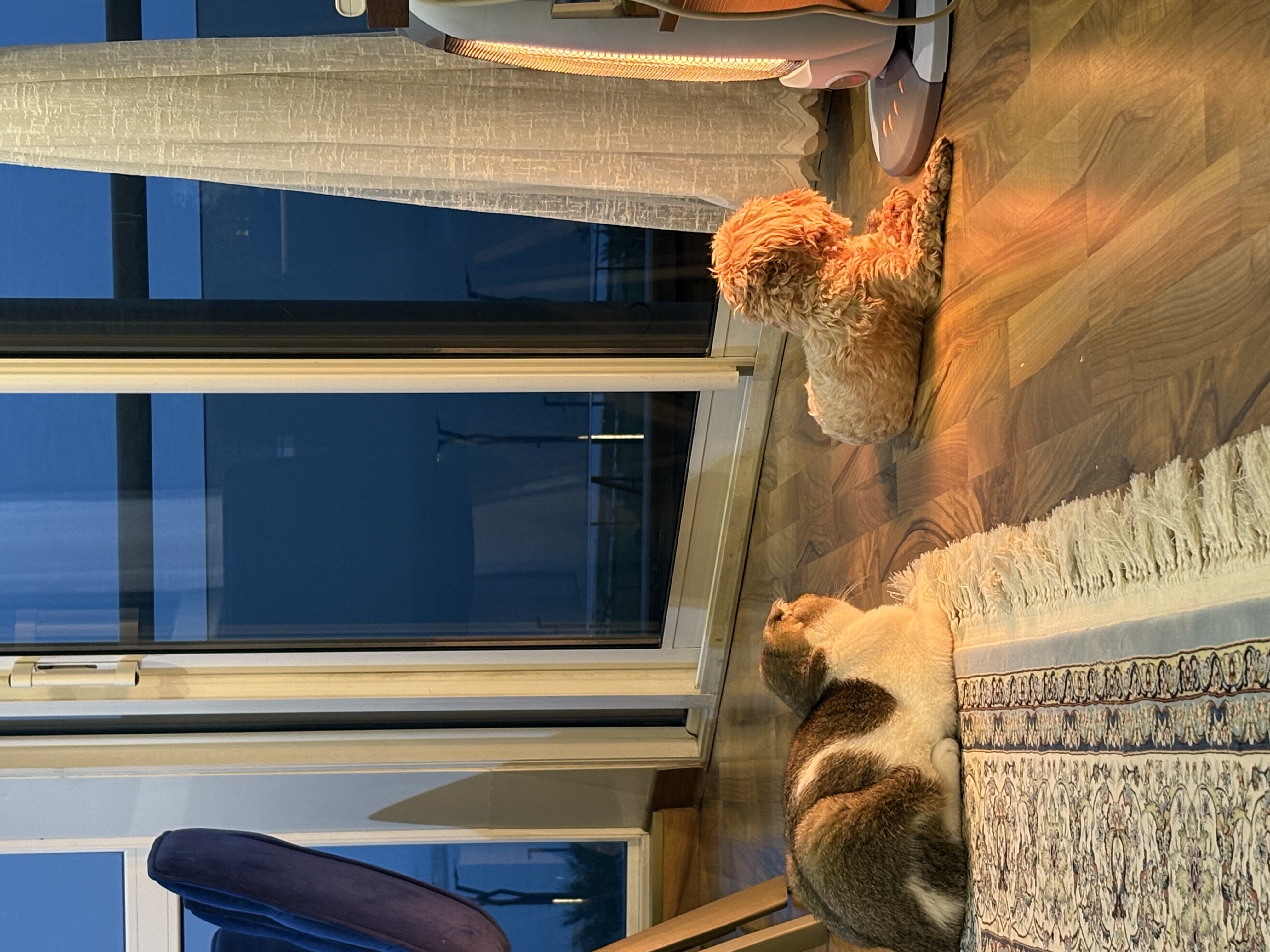 image-11
