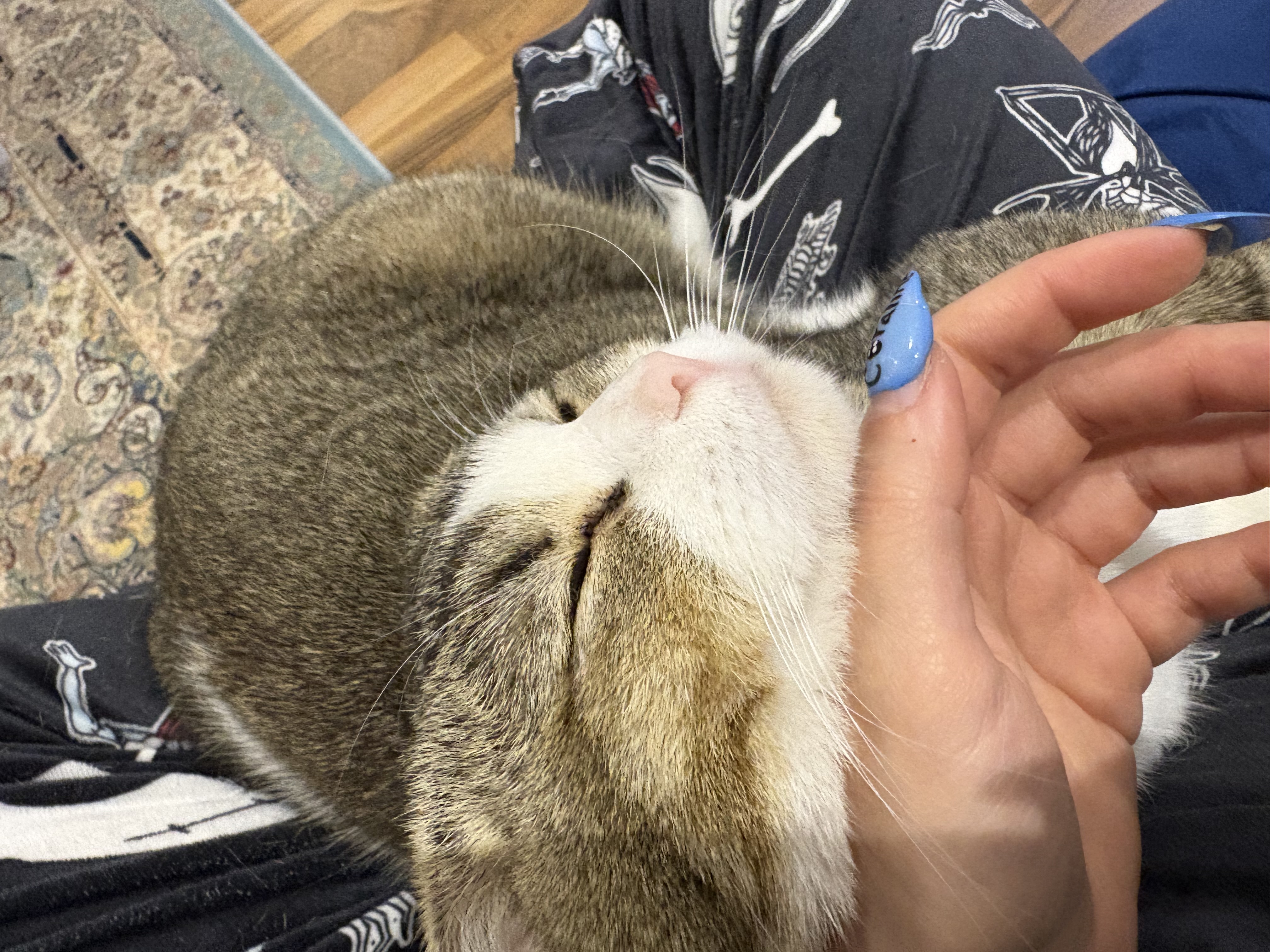 image-7