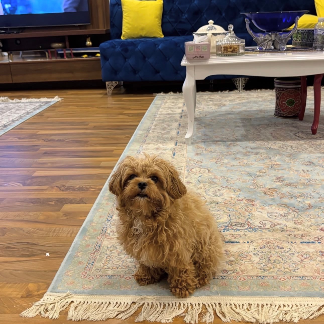Caramel:) 