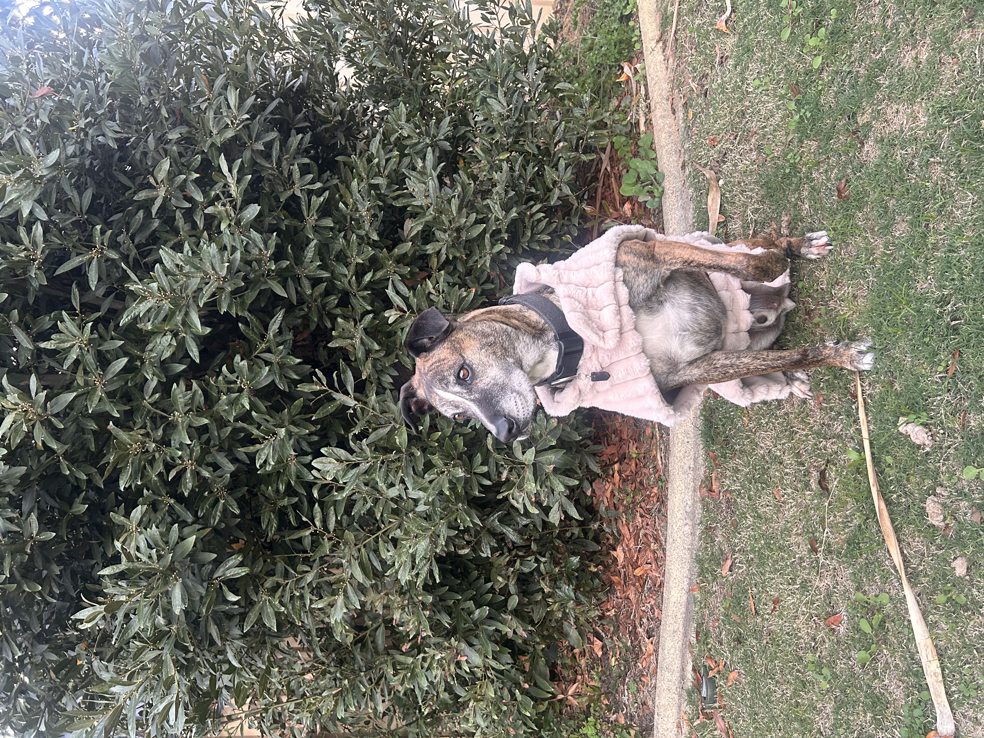 image-17