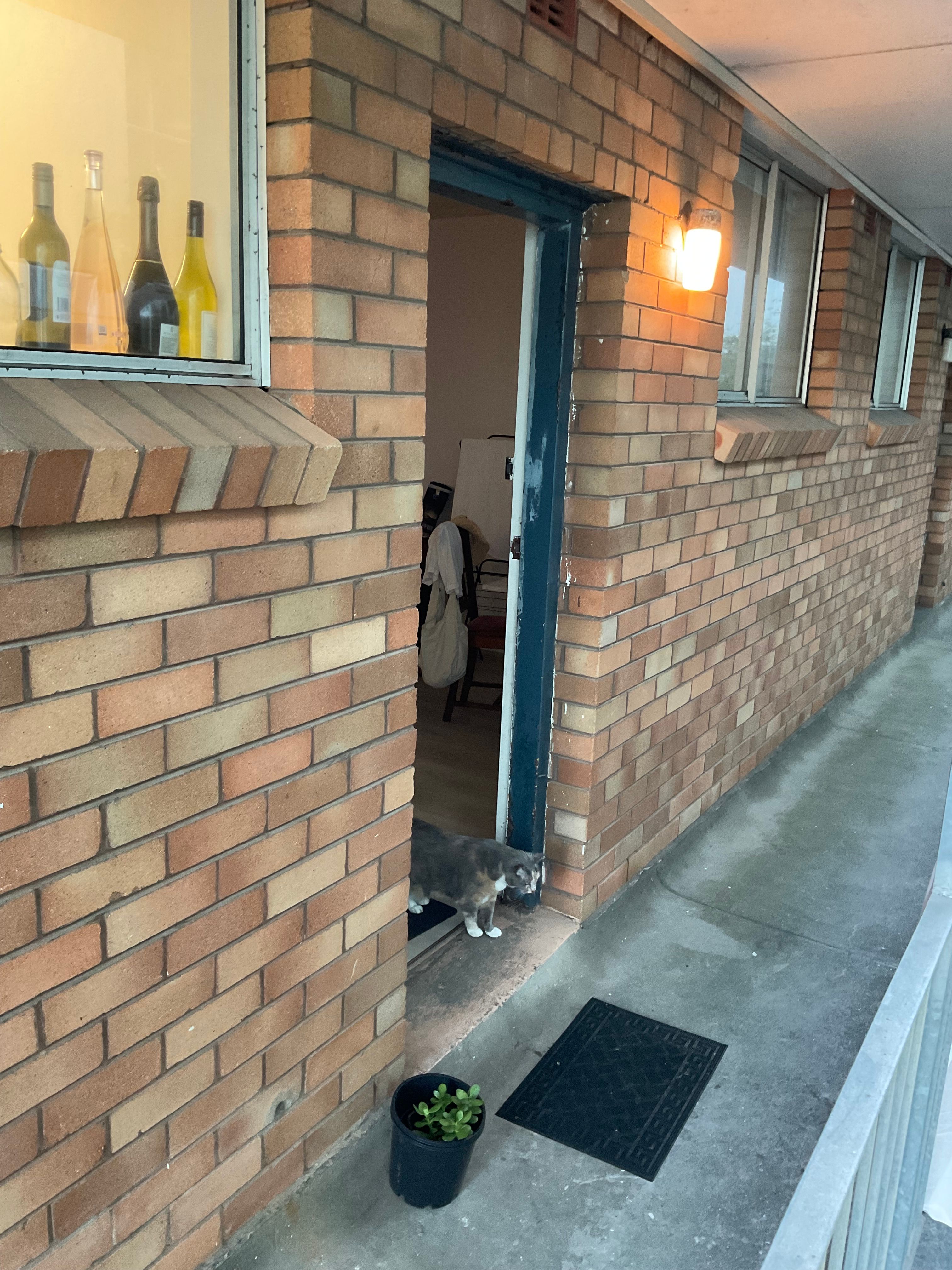 image-13