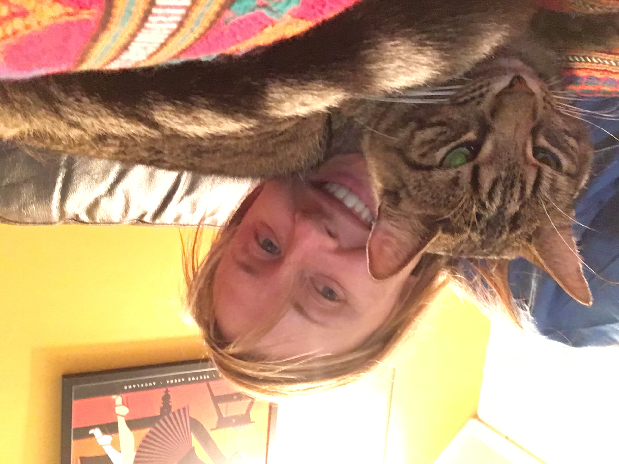 image-6