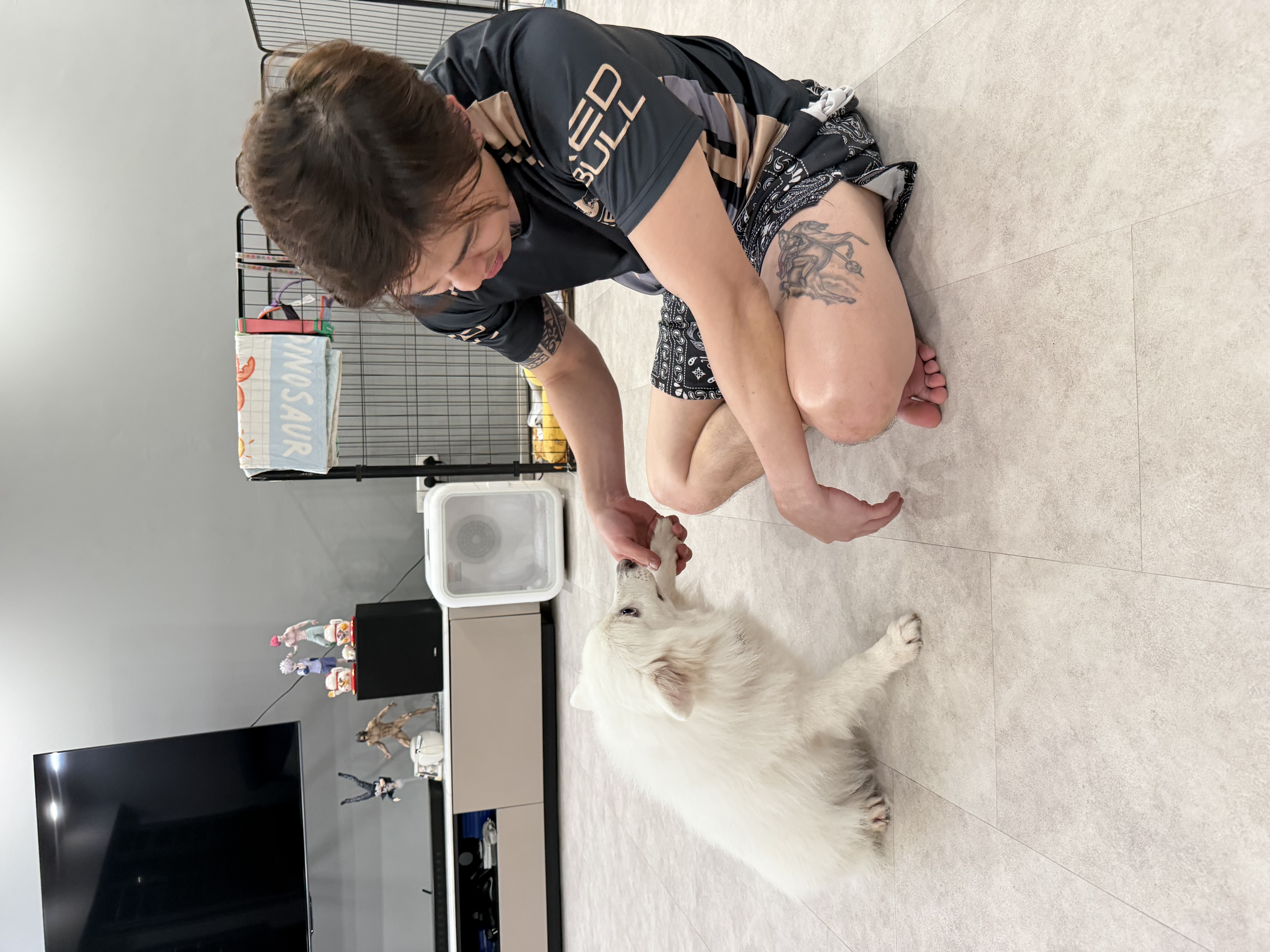 image-6