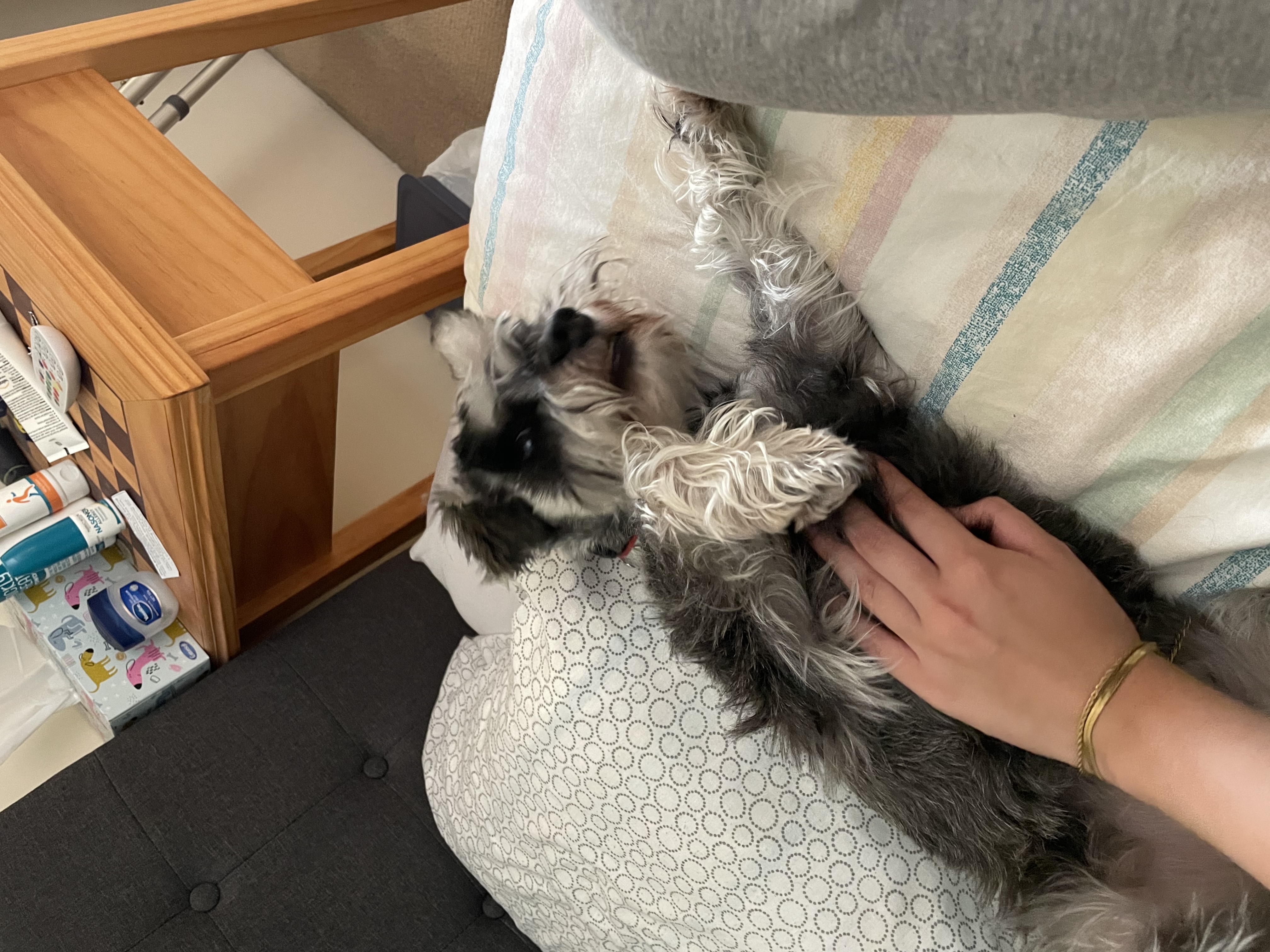 image-6