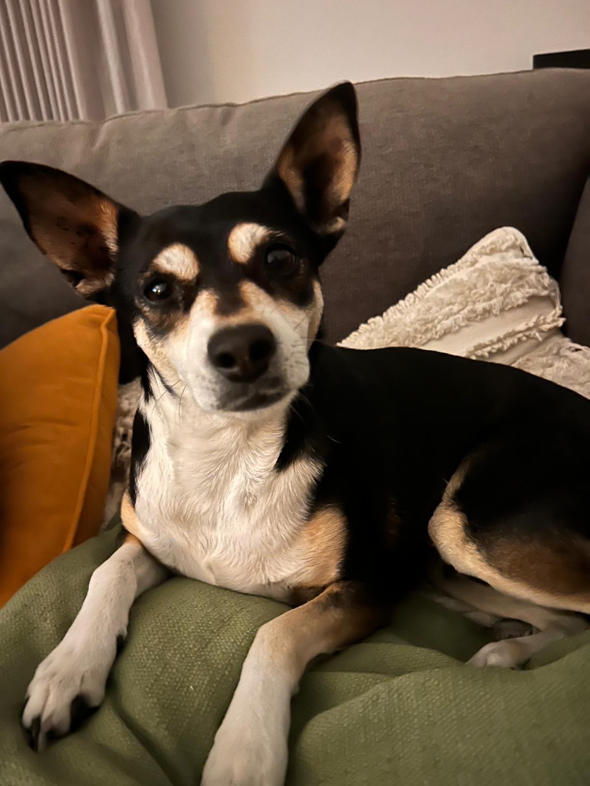 image-6