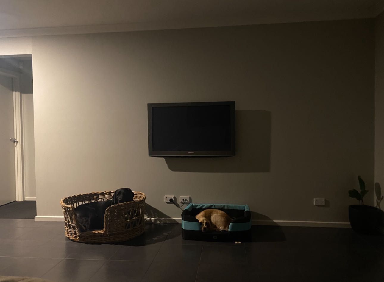 image-5