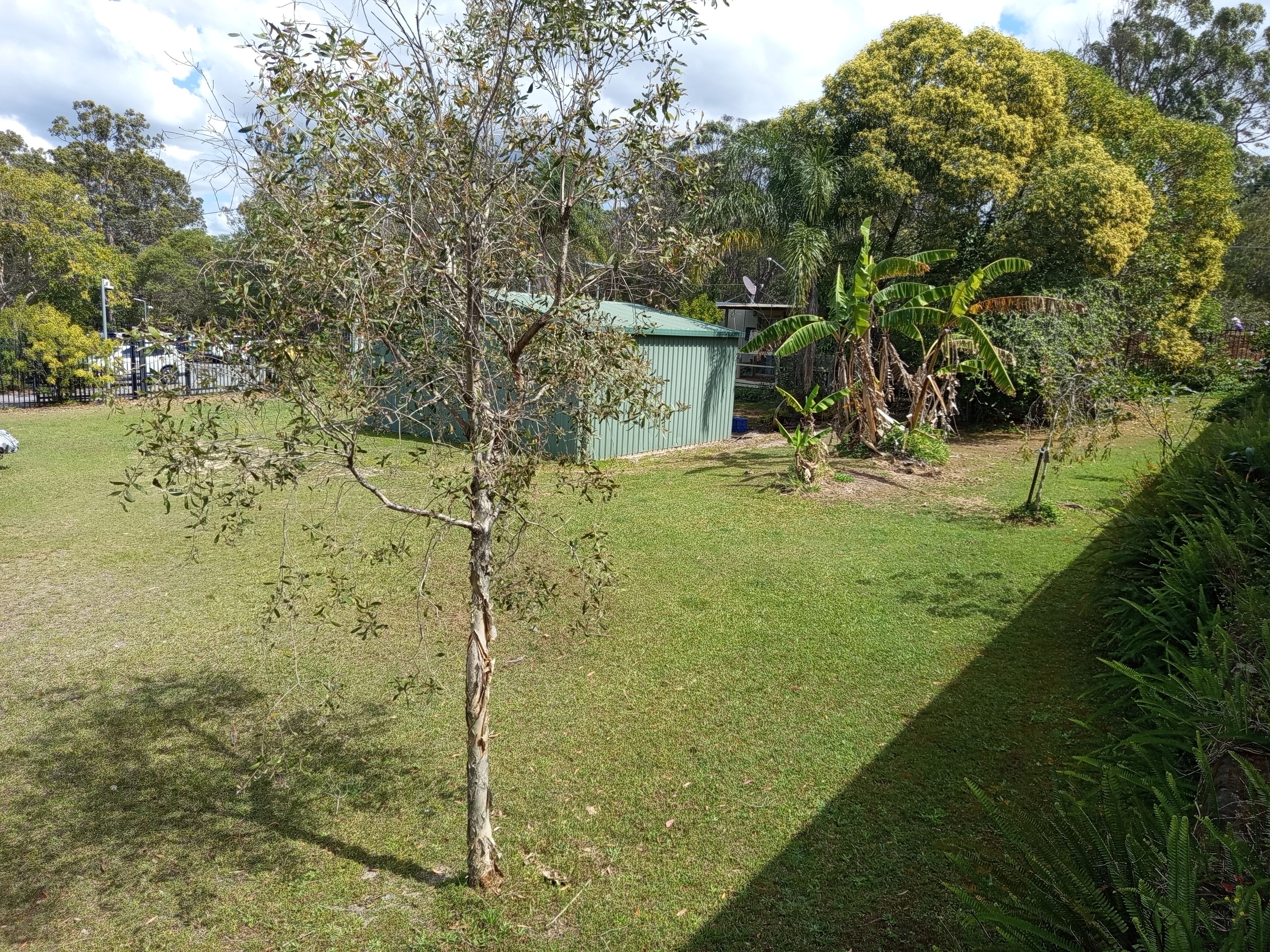 image-13