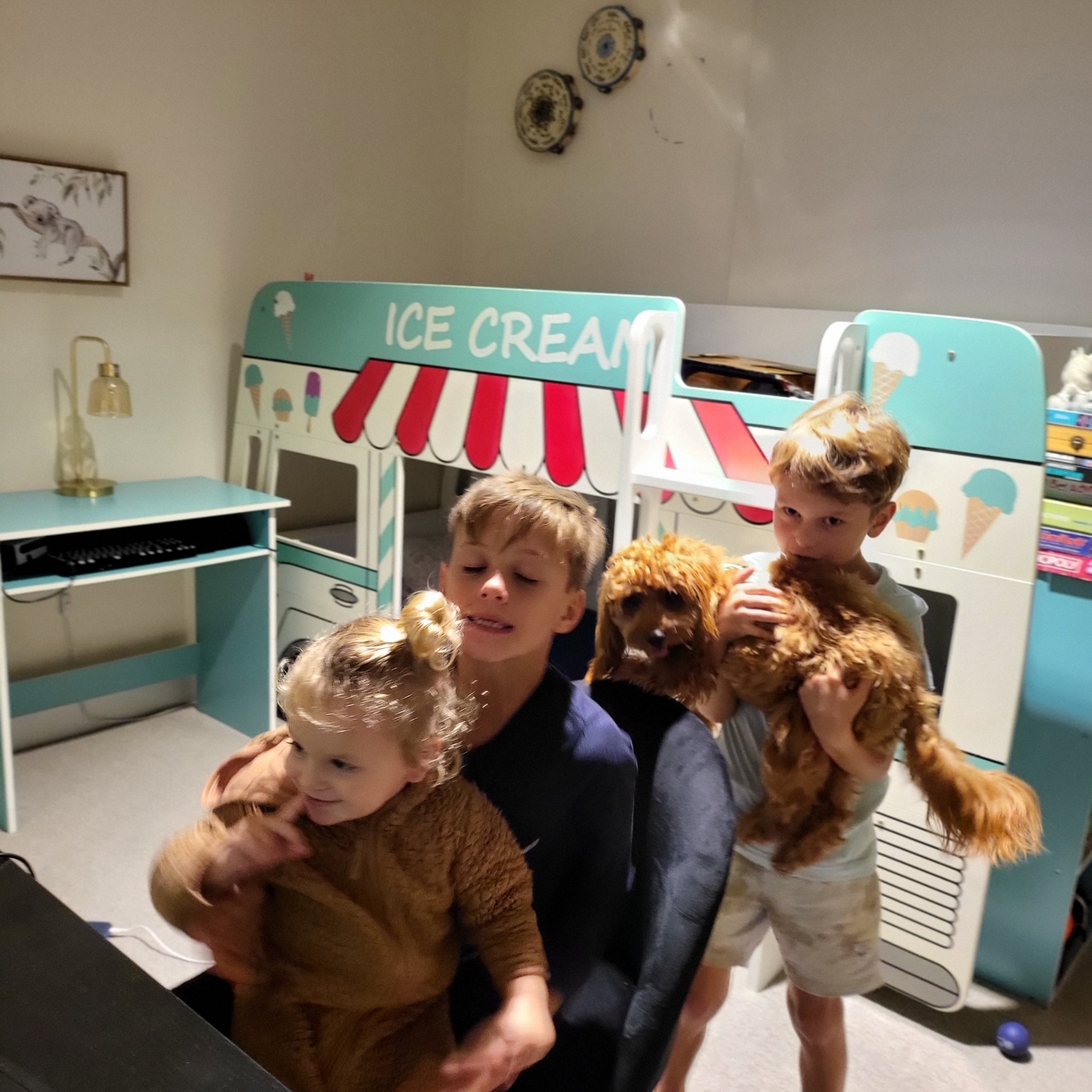 image-7